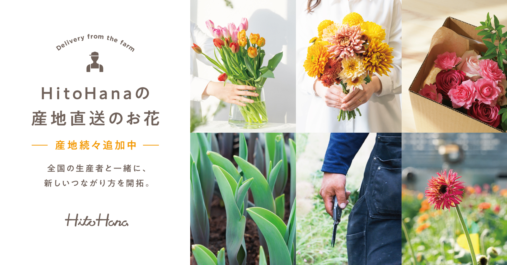 HitoHana 産地直送のお花