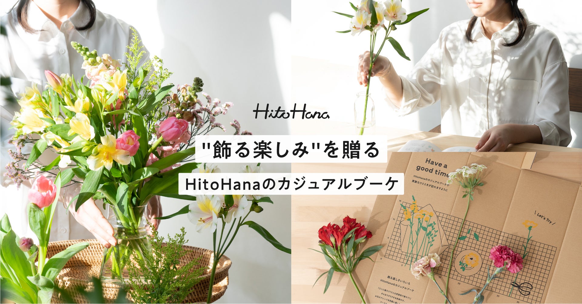 活動歴および当時の関連ビジュアル記録