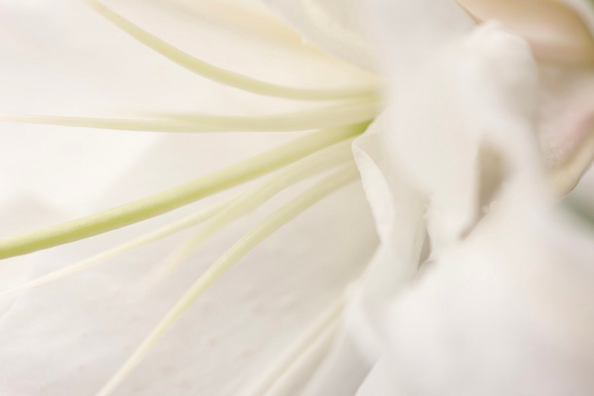 LIRIO リリオ スキンケア トラベルセット 新品未開封 スキンケア ラインセット - LIRIO