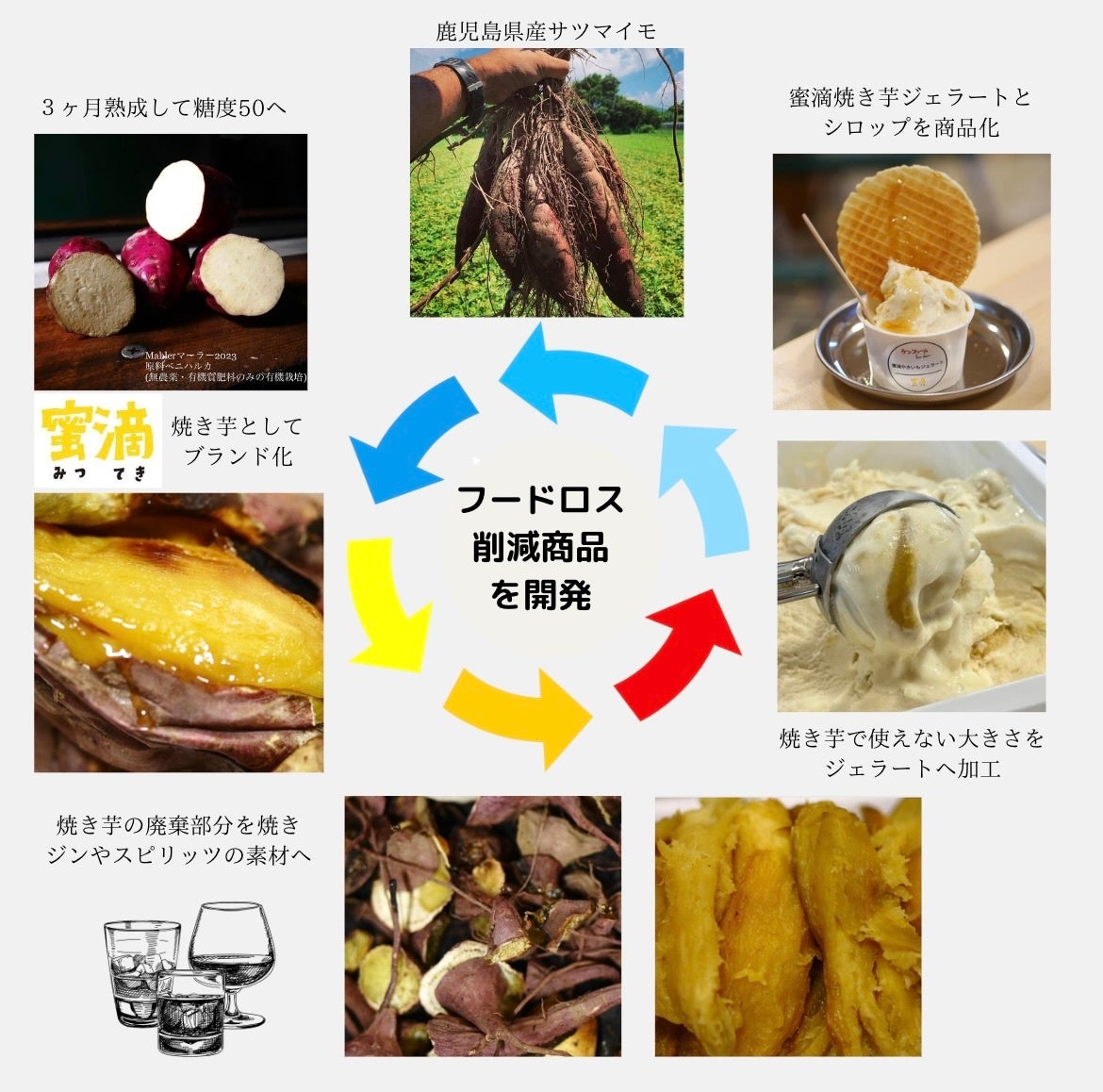 焼き芋ムスメ Amazon | ドウシシャ 焼き芋メーカー ホットプレート 温度調節