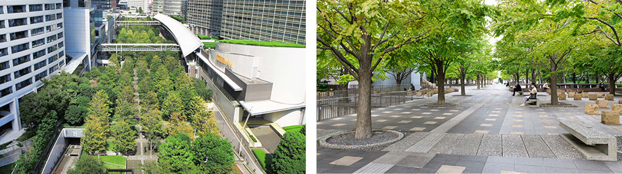 ◆ 品川エリア　「品川セントラルガーデン」