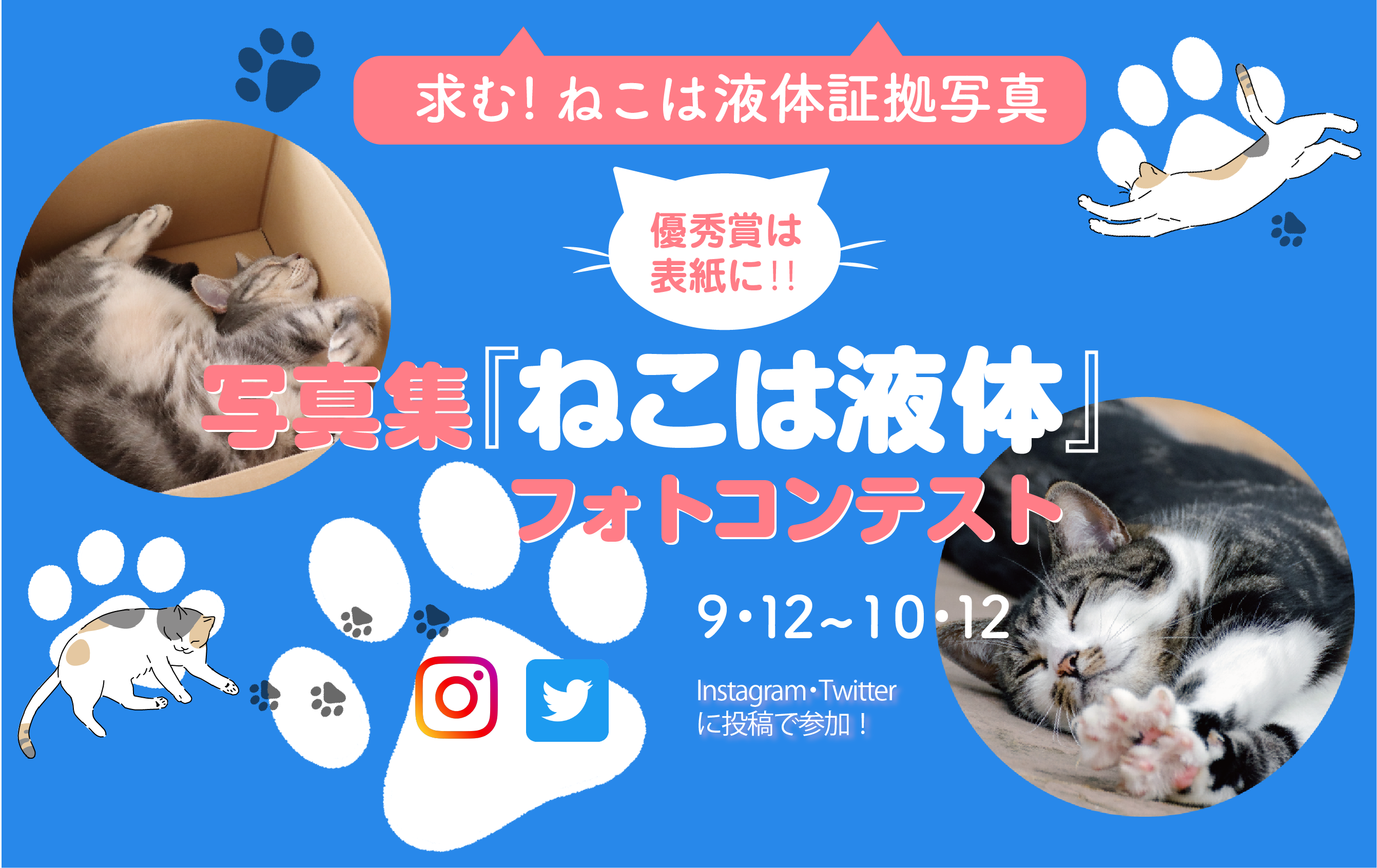 大募集 写真集 ねこは液体 フォトコンテスト9月12日より開催 株式会社青月社のプレスリリース