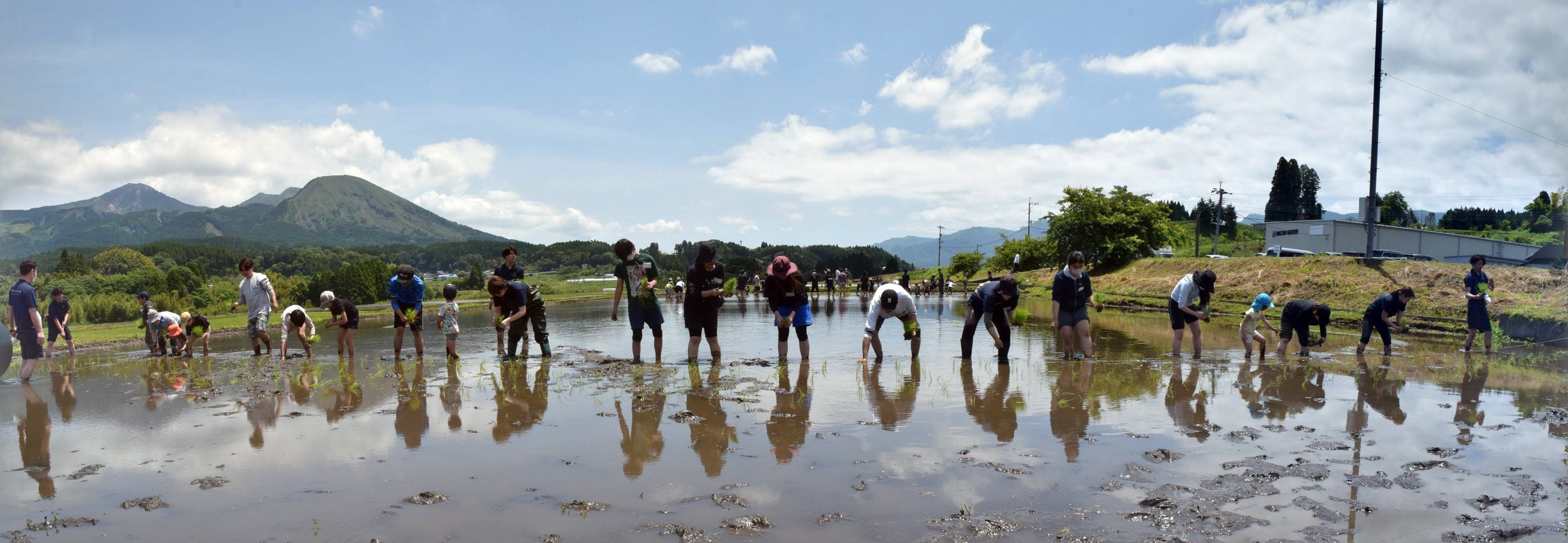 2023年に開催した田植え体験イベントの様子