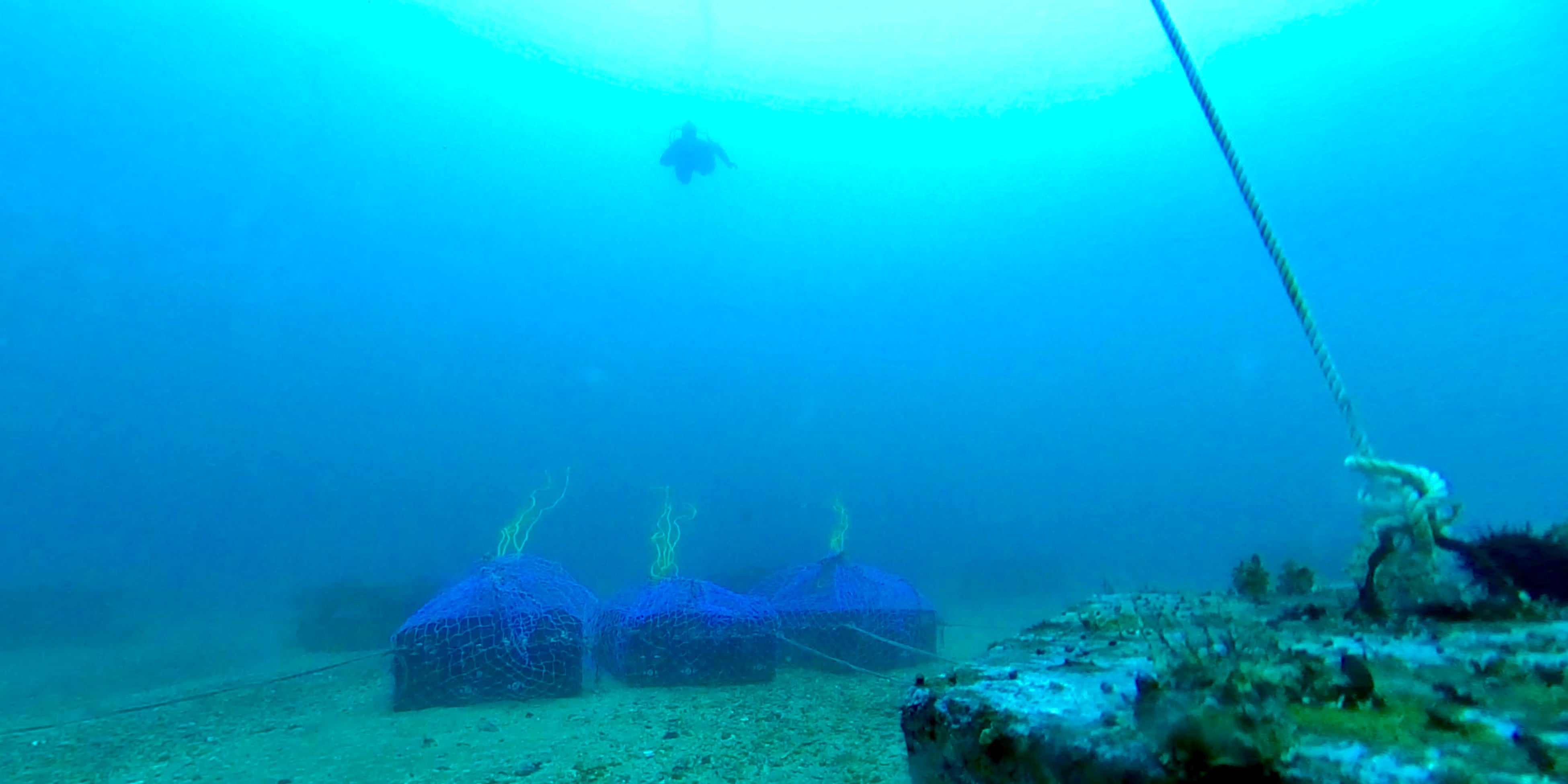 お酒を海底で熟成させている様子