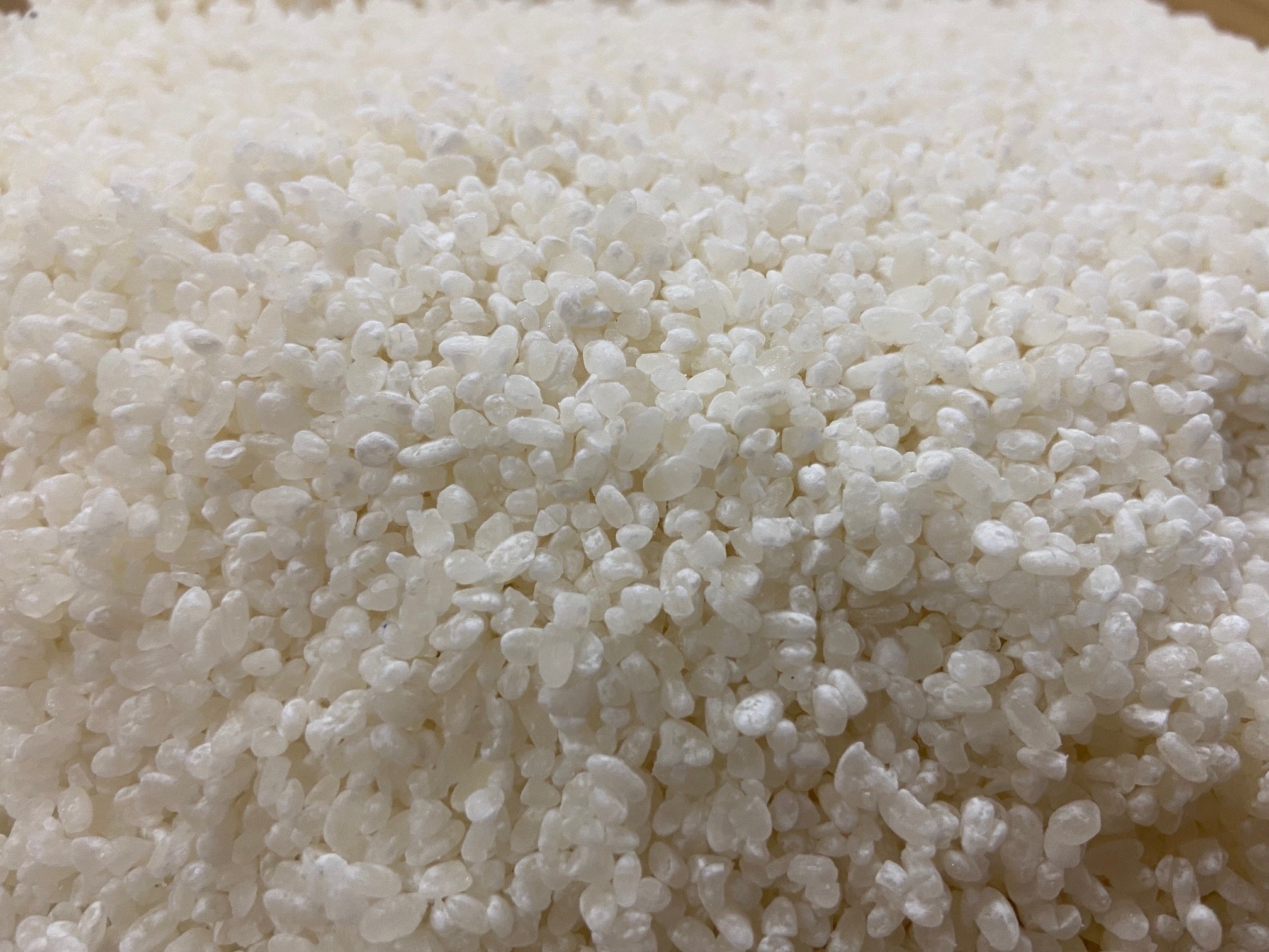 酒造り①製麹-仲仕事1