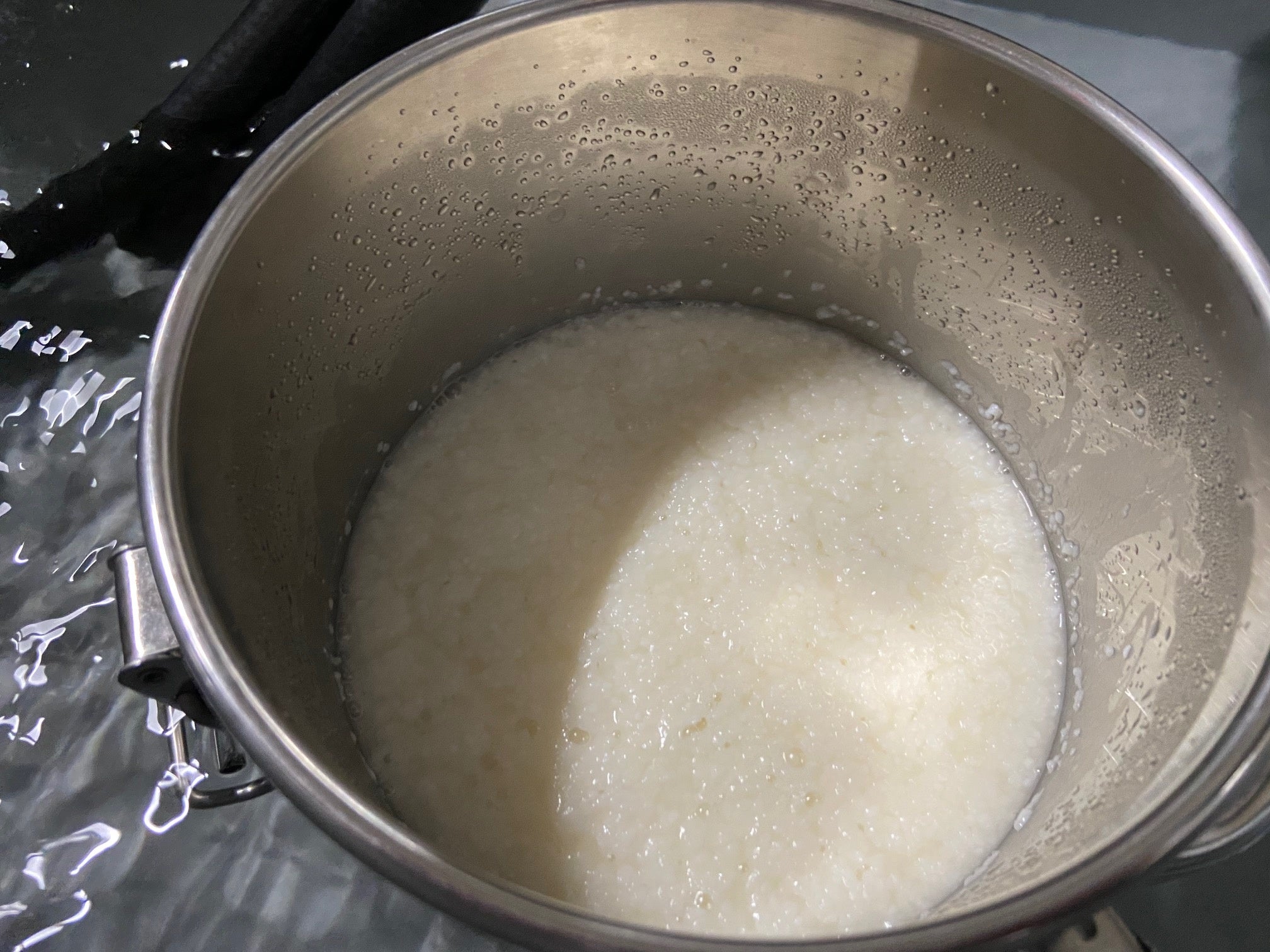 酒造り②酛立5日目