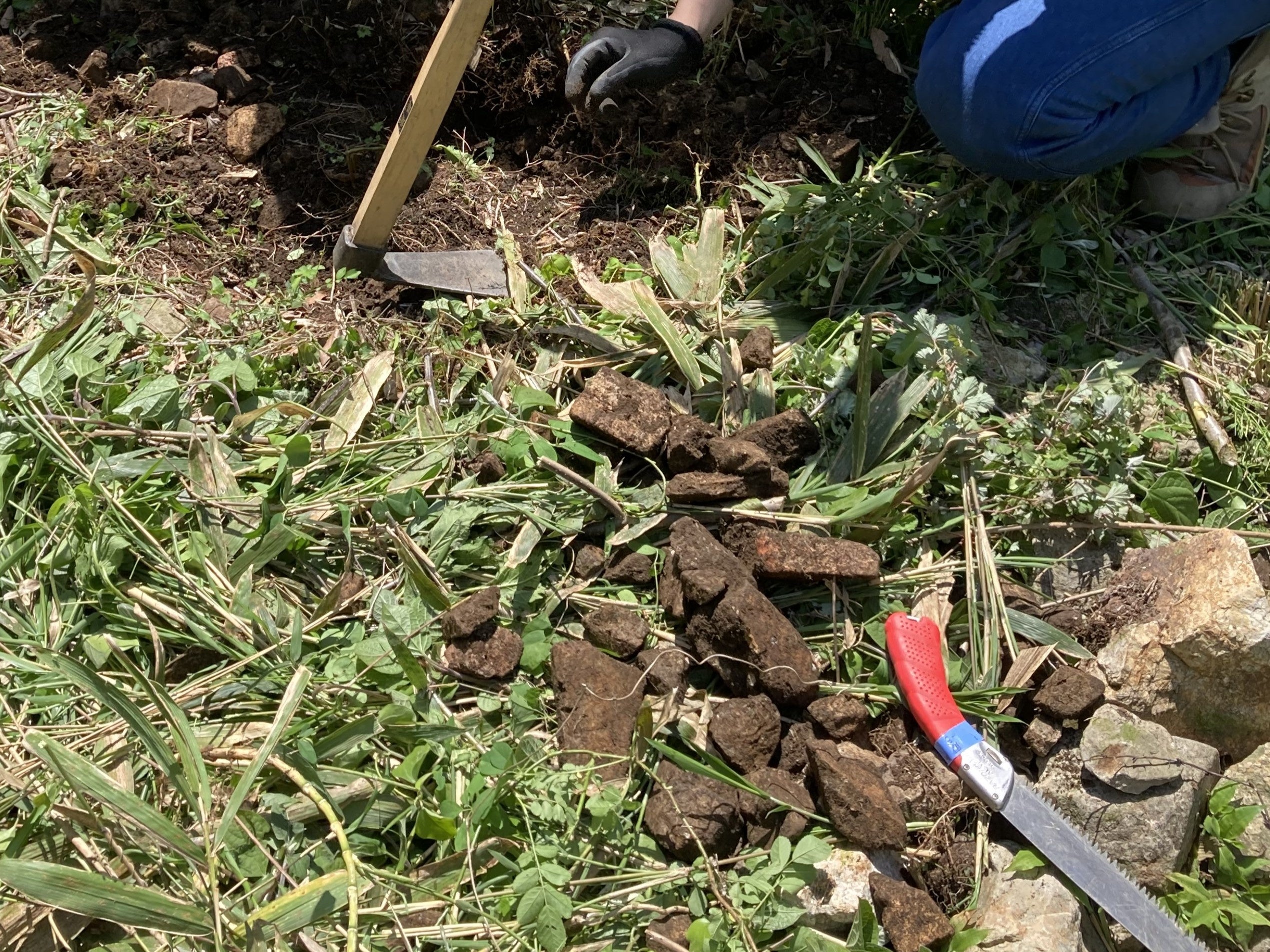 土中の石を取り除く