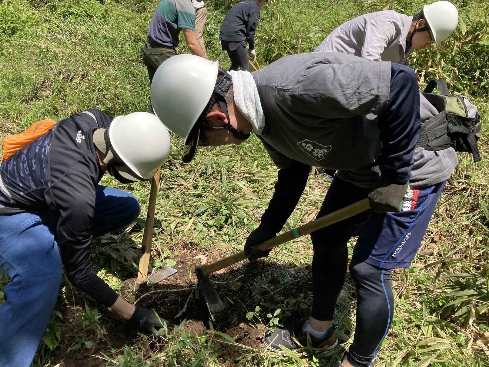 植樹のための穴掘り