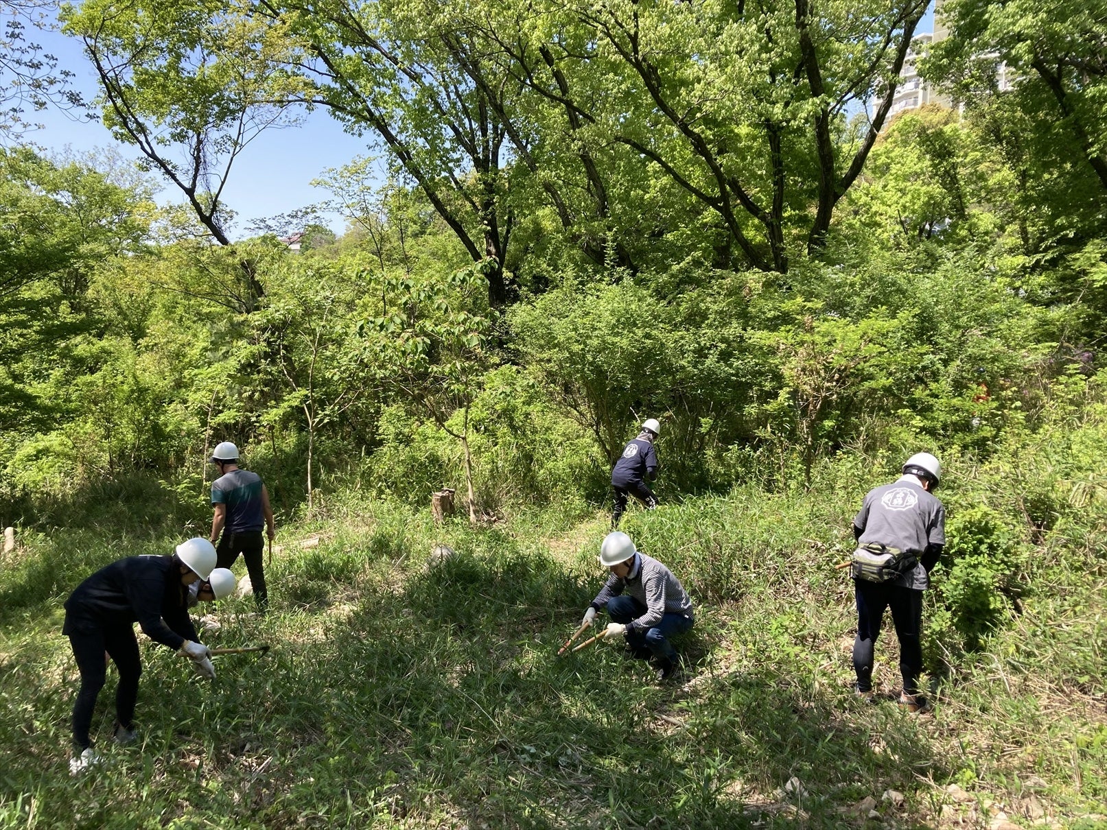下草の刈り取り