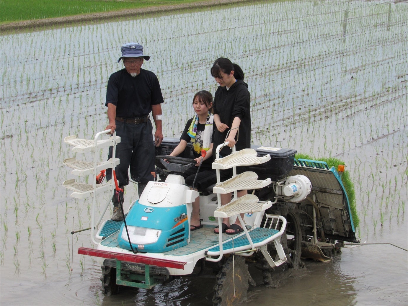 田植え機の田植えも体験