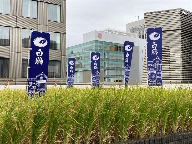 白鶴銀座天空農園
