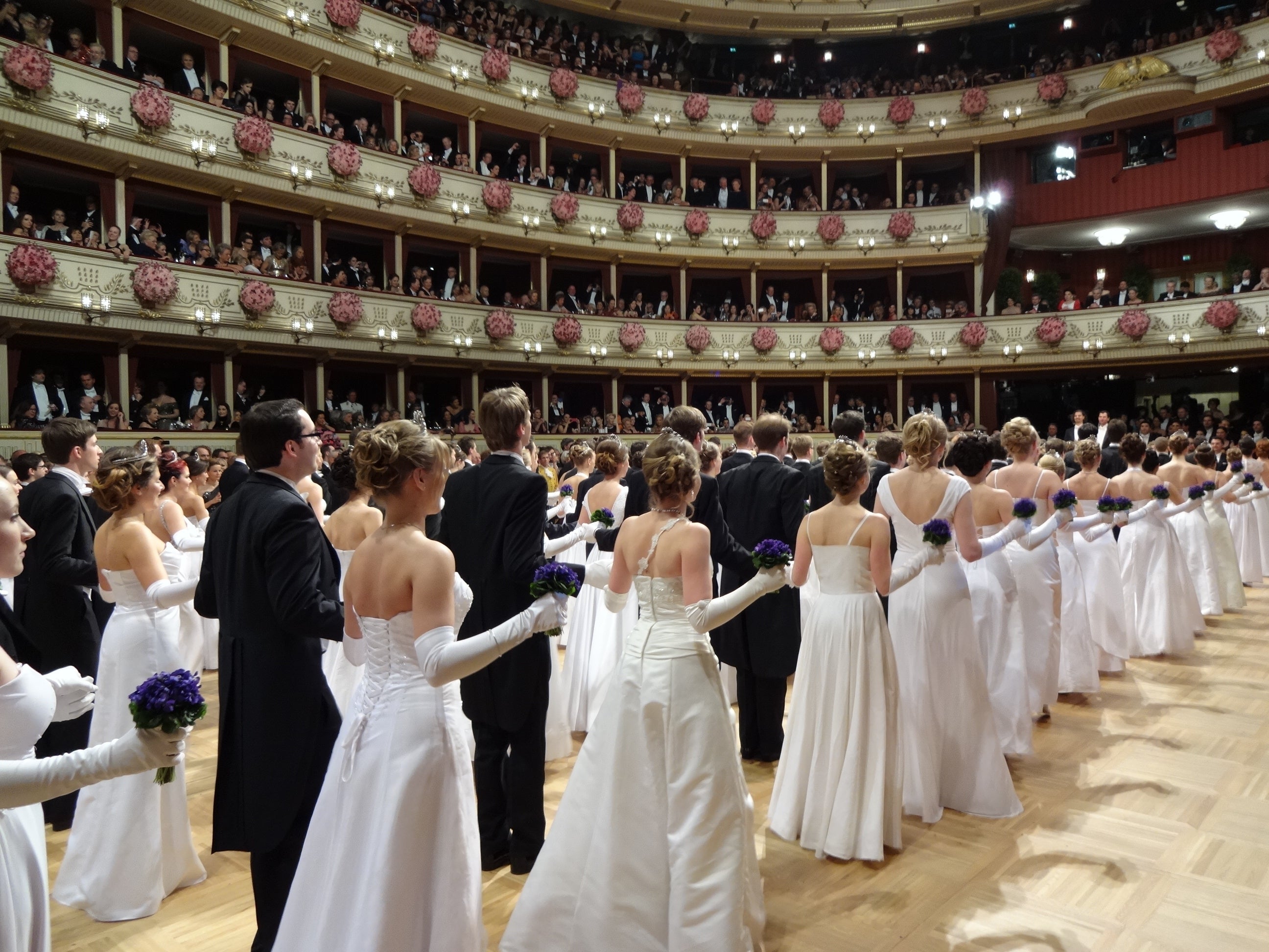 ウィーンの舞踏会のデビュタント