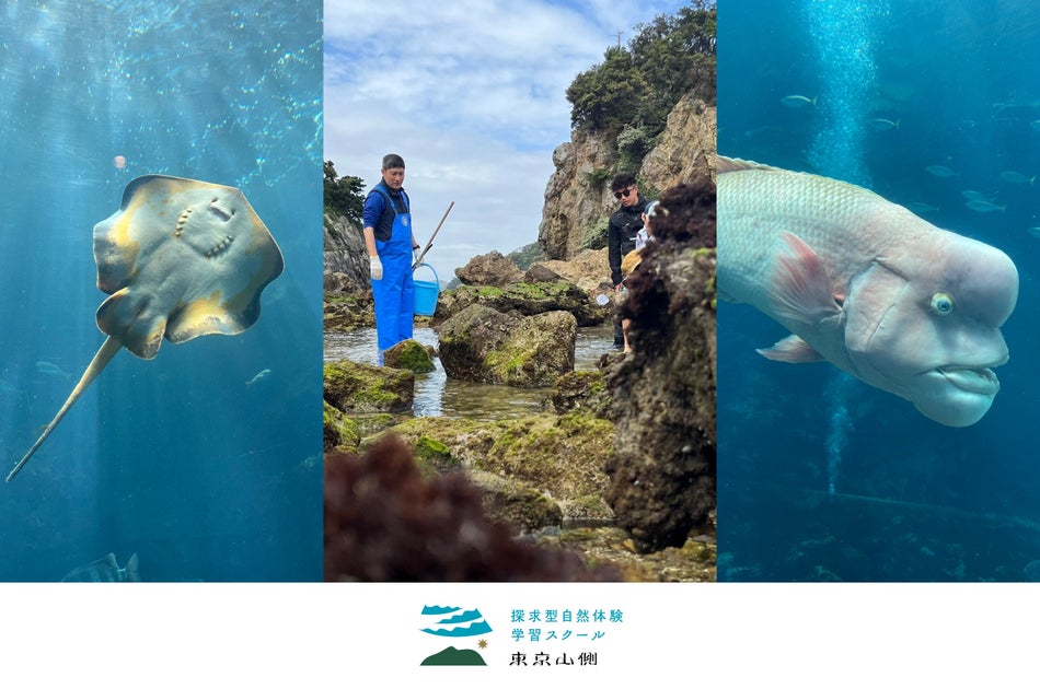 東京山側DMC×下田海中水族館!怪魚ハンターたっちゃんとの特別体験プログラムが話題に 東京山側DMC×下田海中水族館!怪魚ハンターたっちゃんとの特別体験プログラムが話題に
