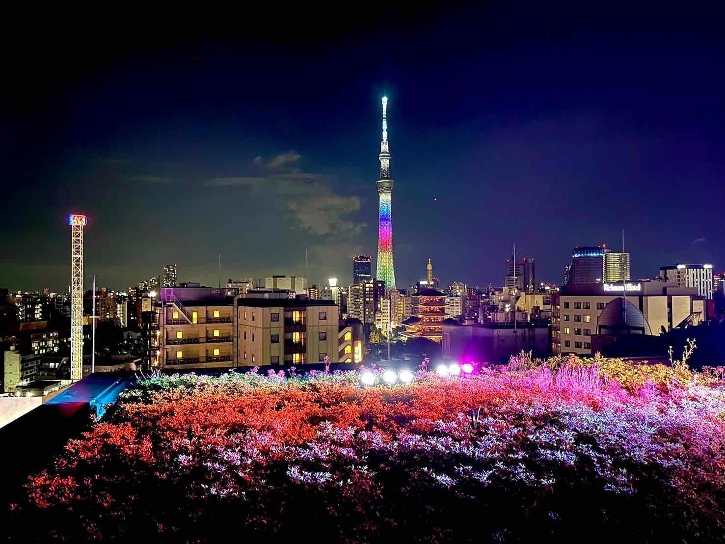 アネックス六区 屋上光のアートイメージ