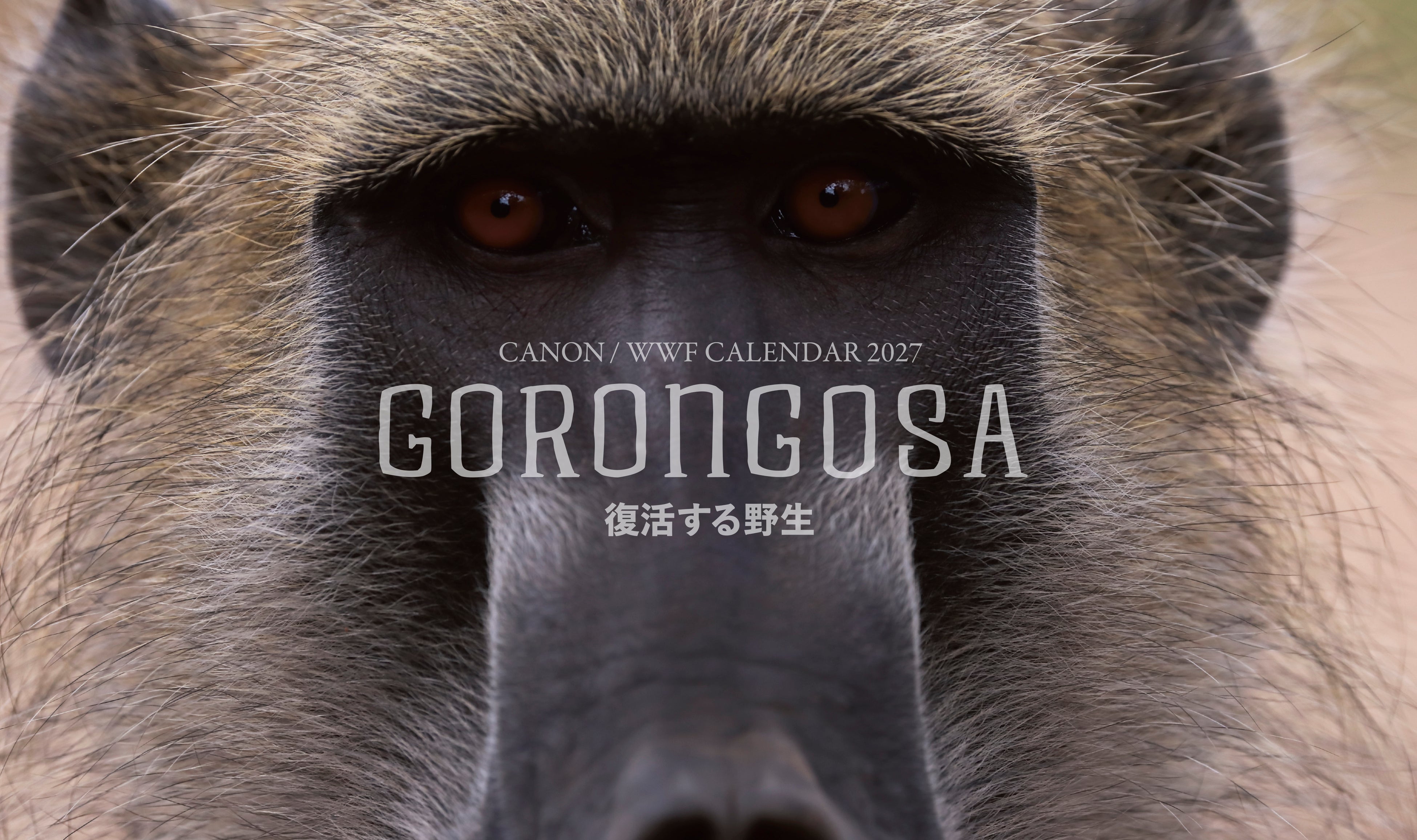 「キヤノン/WWF岩合光昭カレンダー2027 GORONGOSA～復活する野生～」を発売