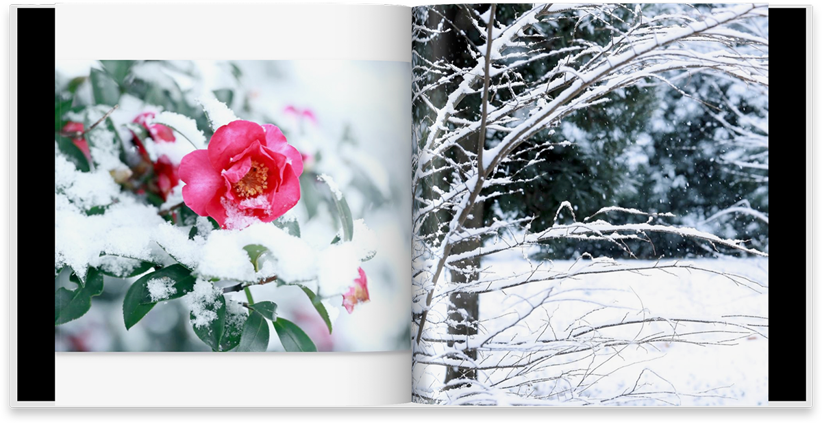 フォトブック作成例（2）