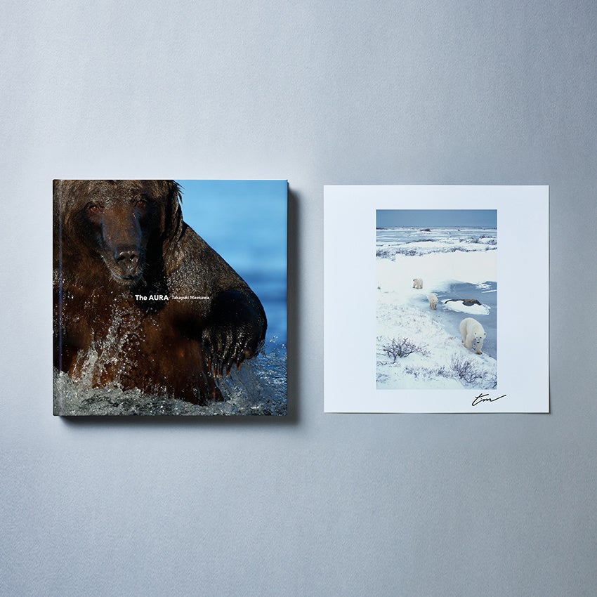 野生動物たちの”生きる姿”