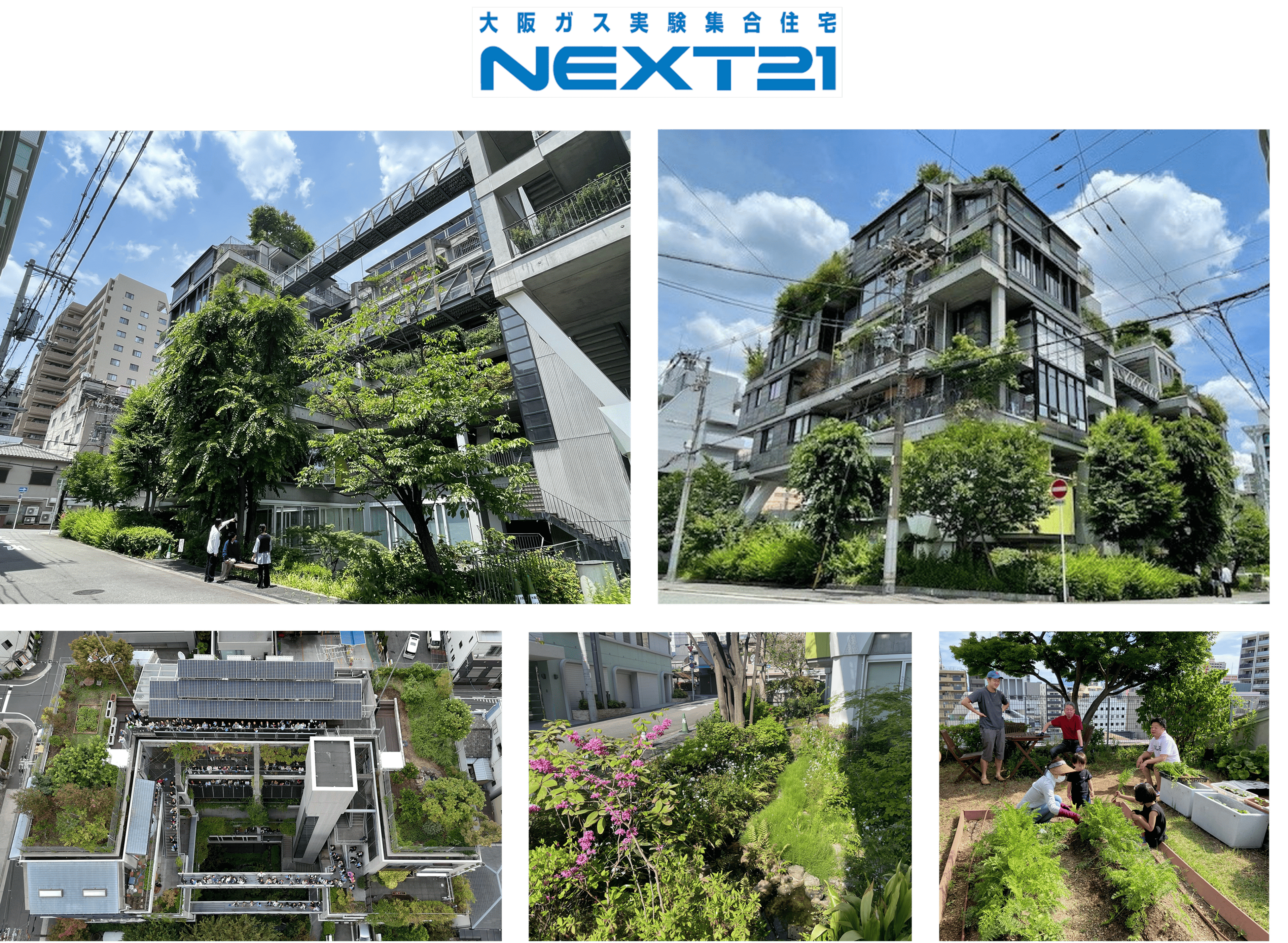 大阪ガス実験集合住宅「NEXT21」の緑化の取組みが「第44回 緑の都市賞