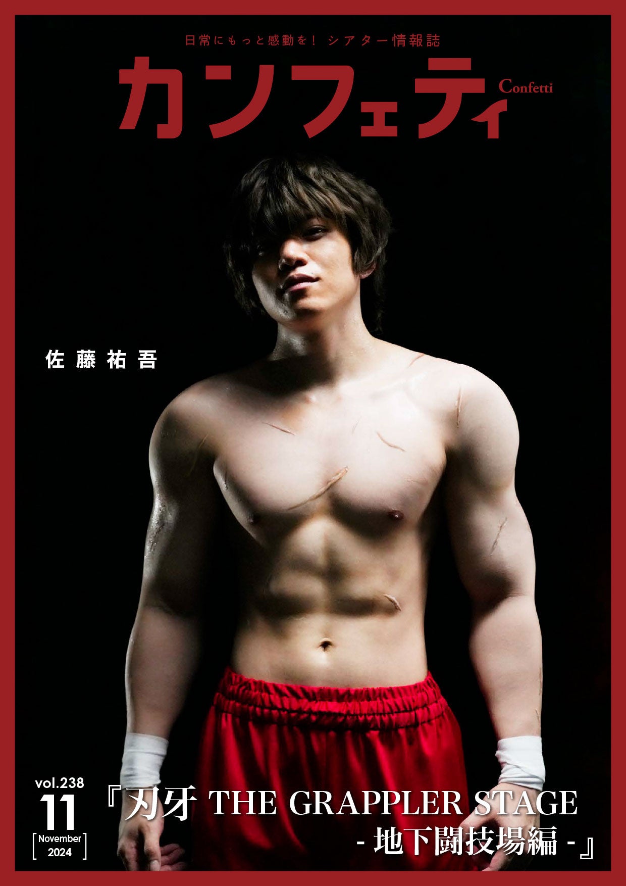 VHS 「名演華舞台」11巻 VHS 「名演華舞台」11巻