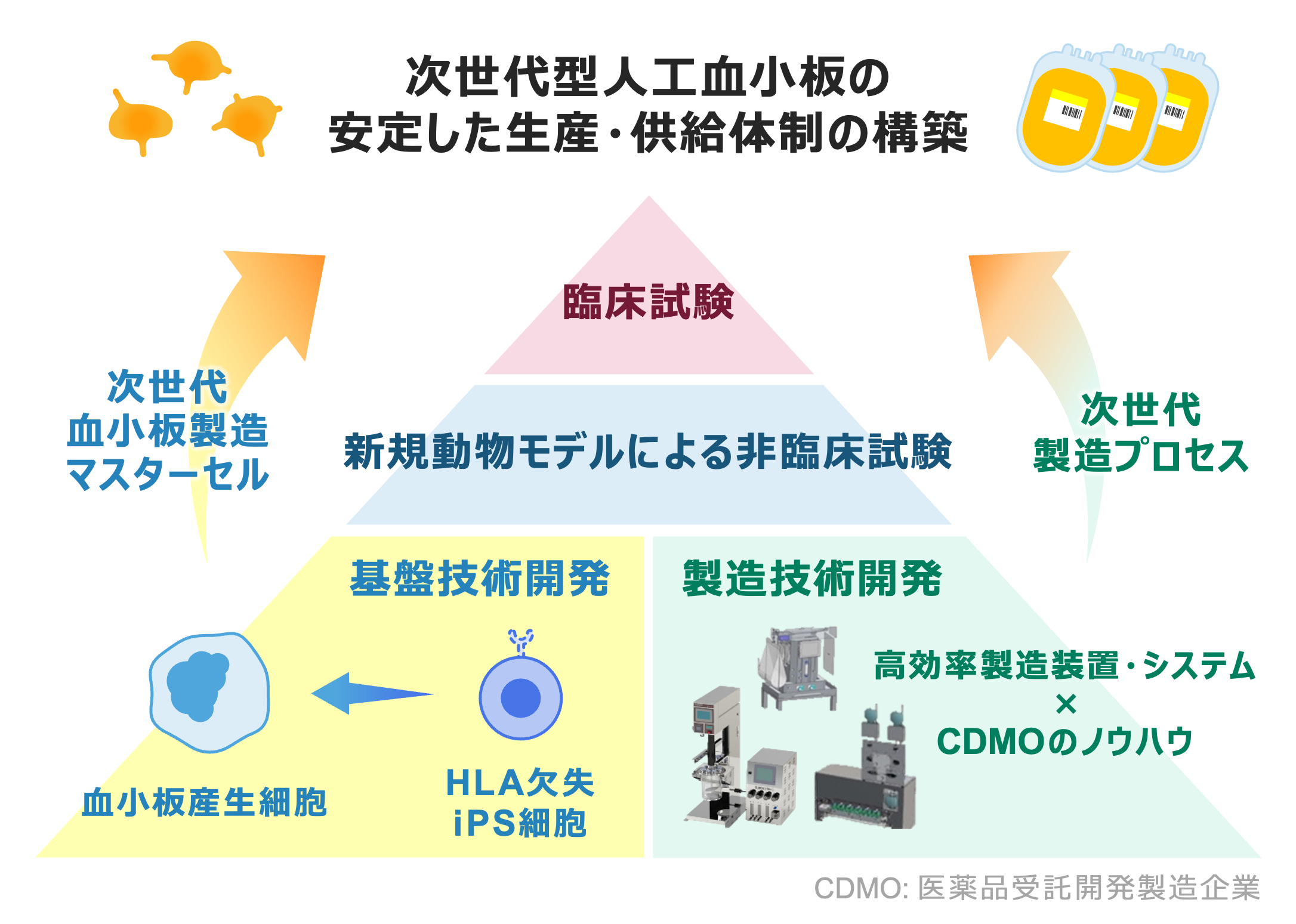 「高品質人工血小板の連続製造システムの研究開発とその実用化」の事業イメージ
