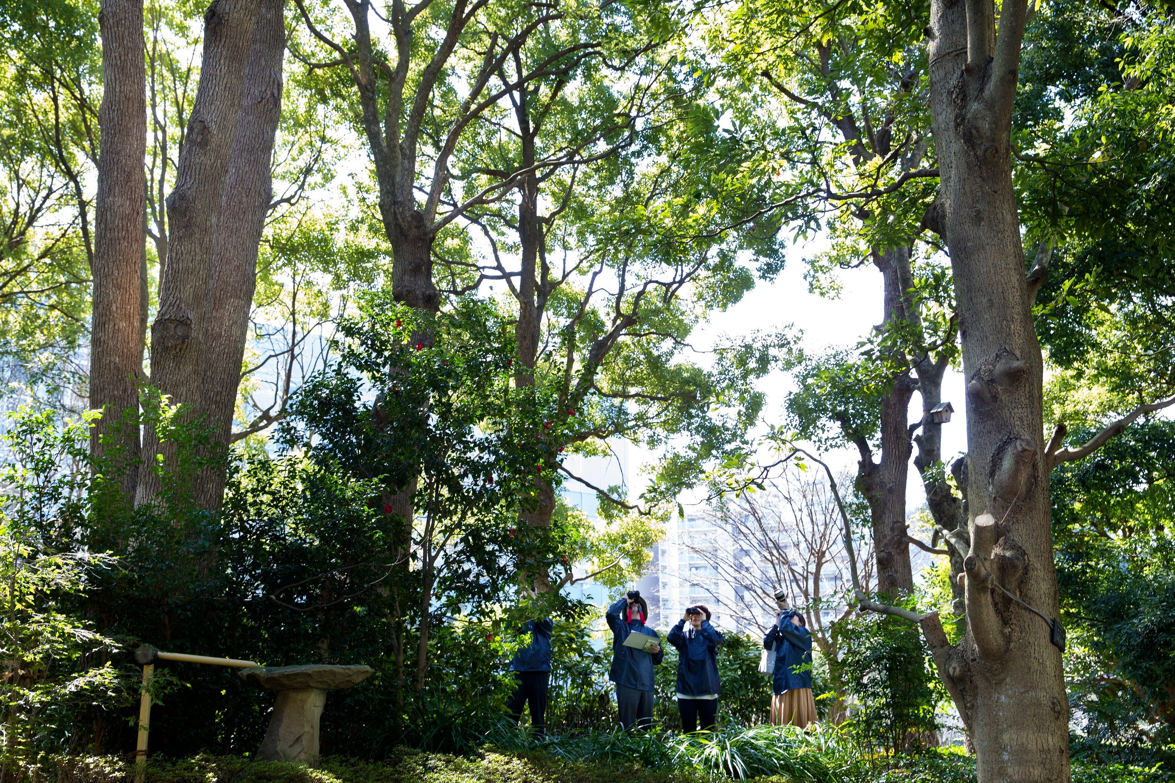 キヤノン本社敷地内にある「下丸子の森」の一部