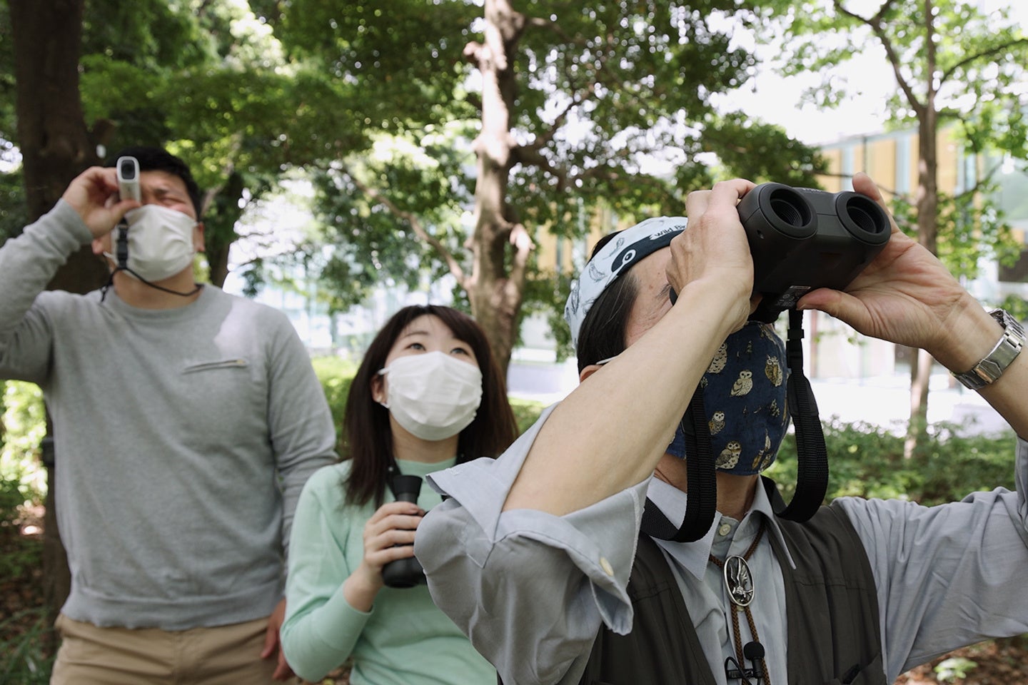 日本野鳥の会 安西先生と動画で野鳥観察！