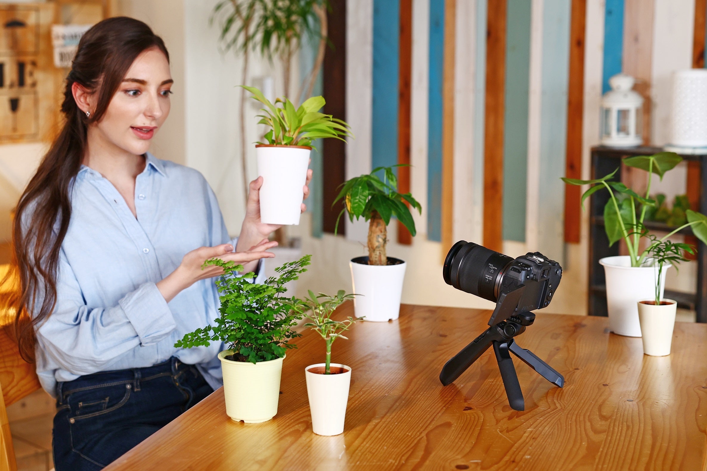 幅広い撮影シーンに対応