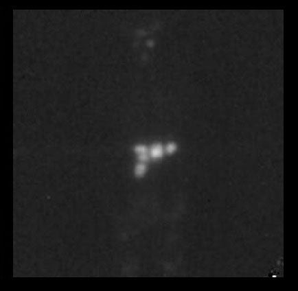 撮影例のイメージ