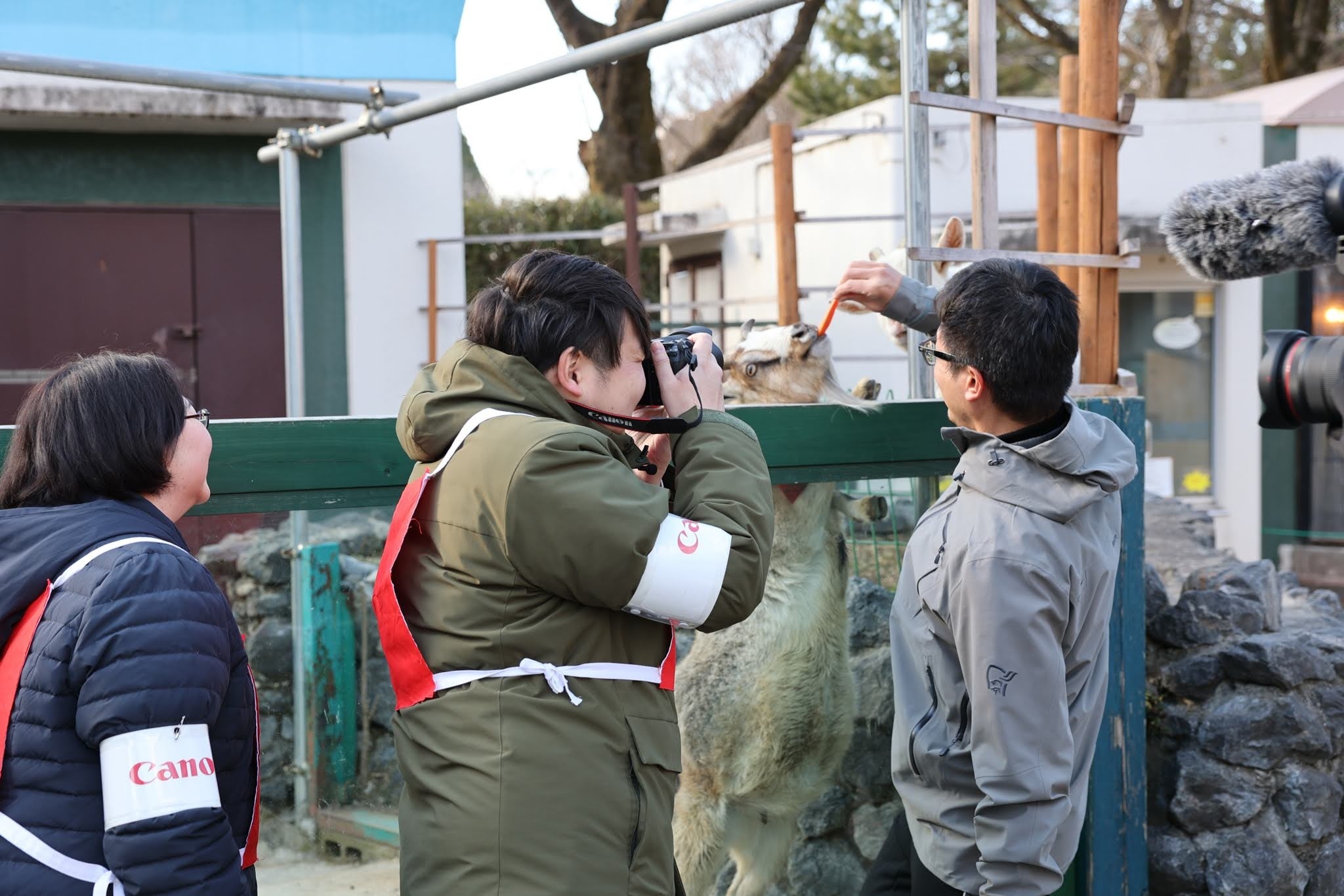 「EOS R6 Mark II」を活用したオンライン企画