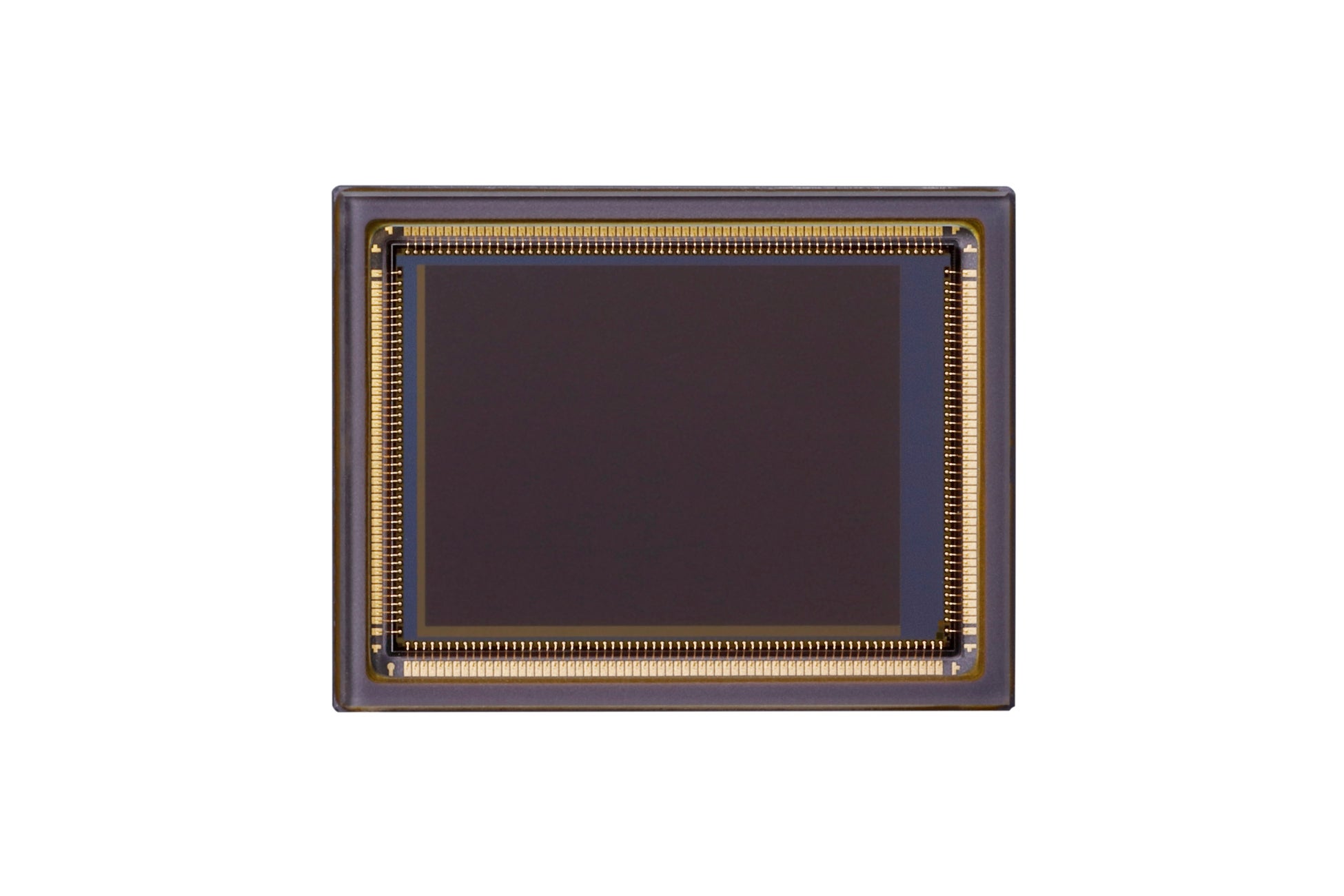 1.0型SPADセンサー