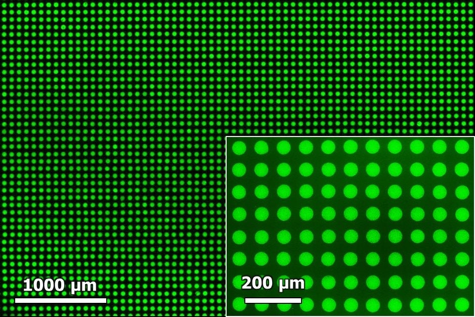 開発したペロブスカイト量子ドットインクの高解像度印刷サンプル