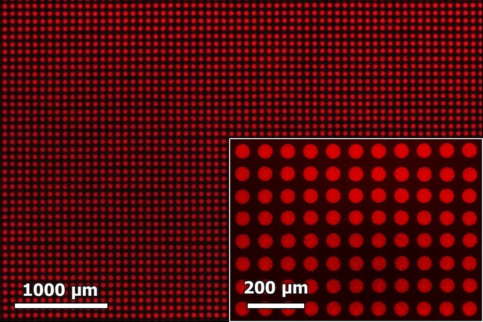開発したペロブスカイト量子ドットインクの高解像度印刷サンプル