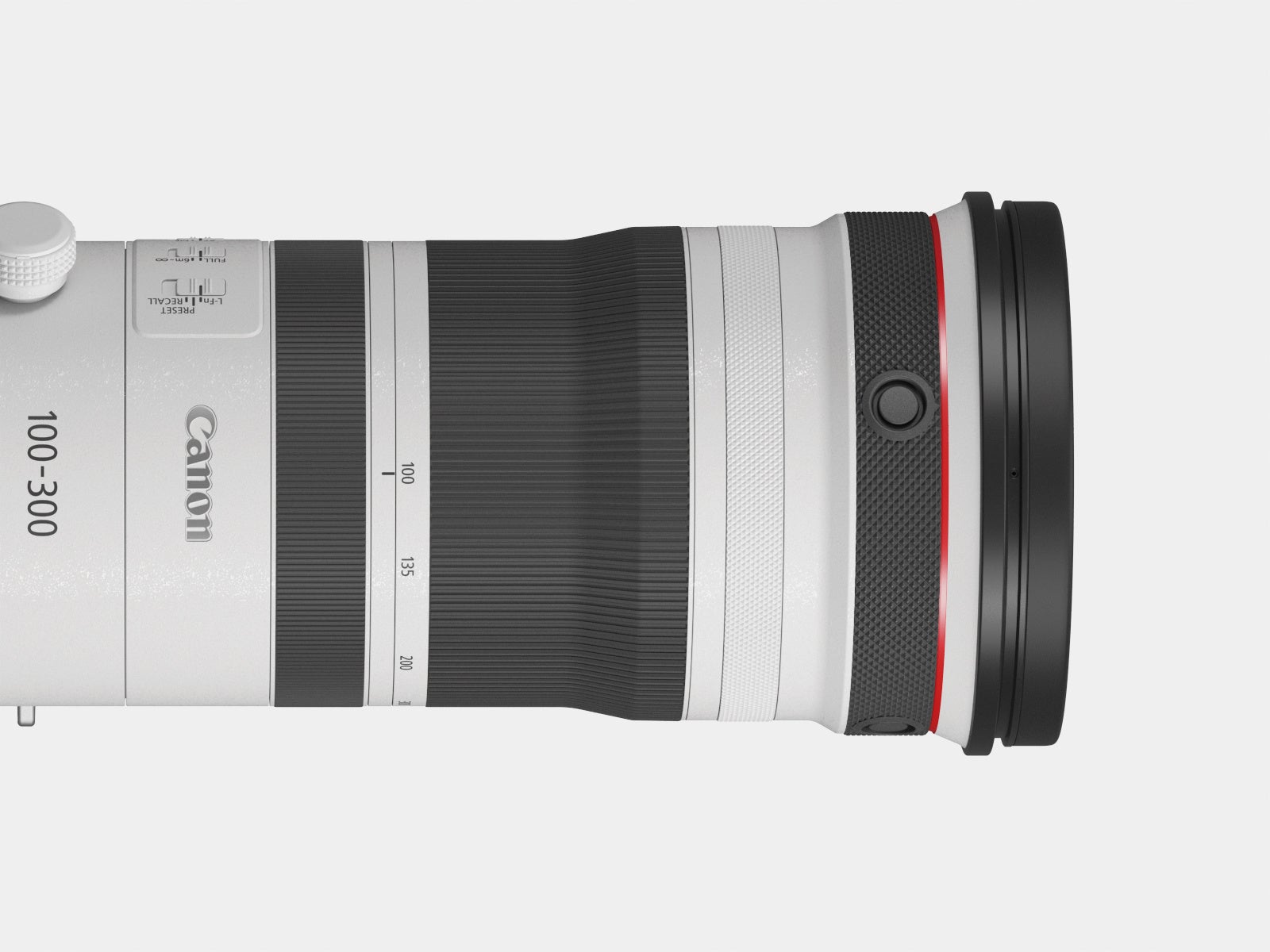 RF100-300mm F2.8 L IS USM