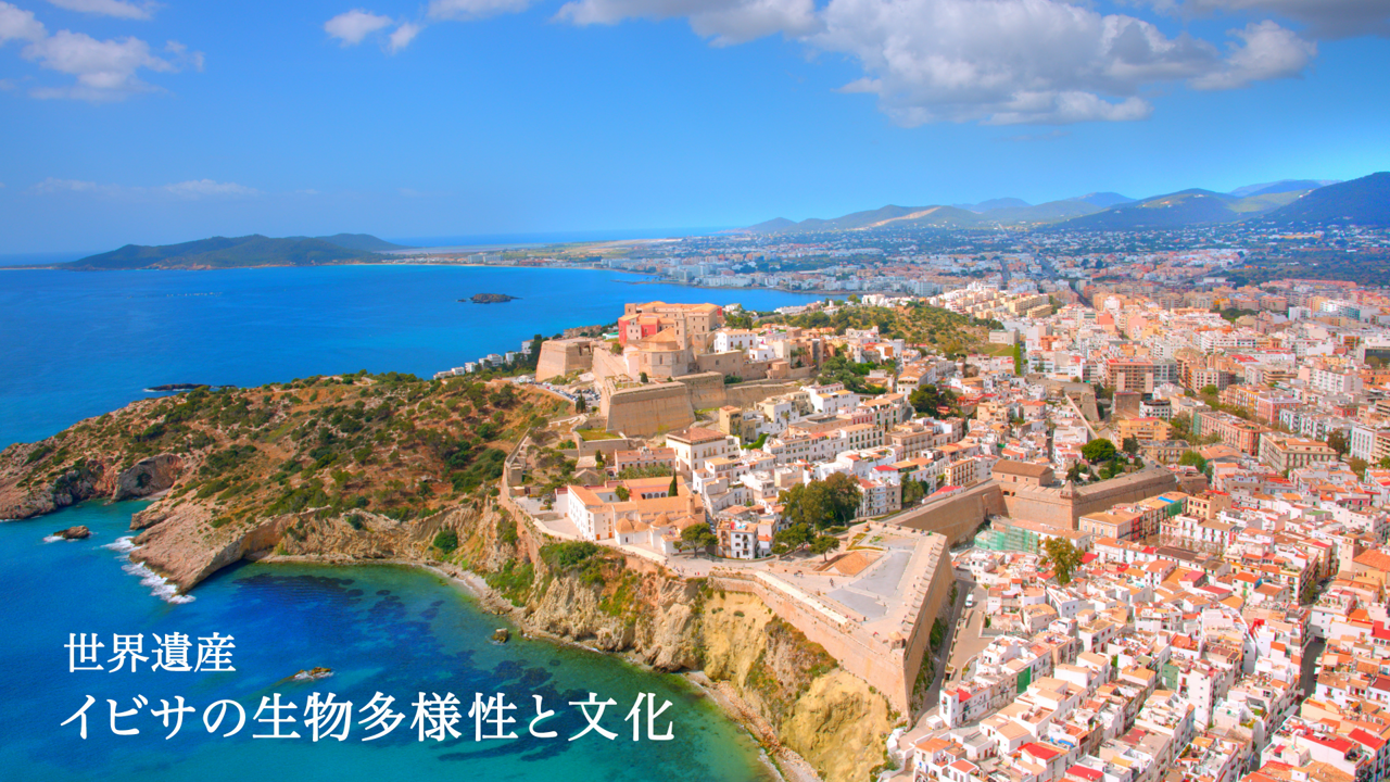 「世界遺産」番組連動CM イビサ島篇