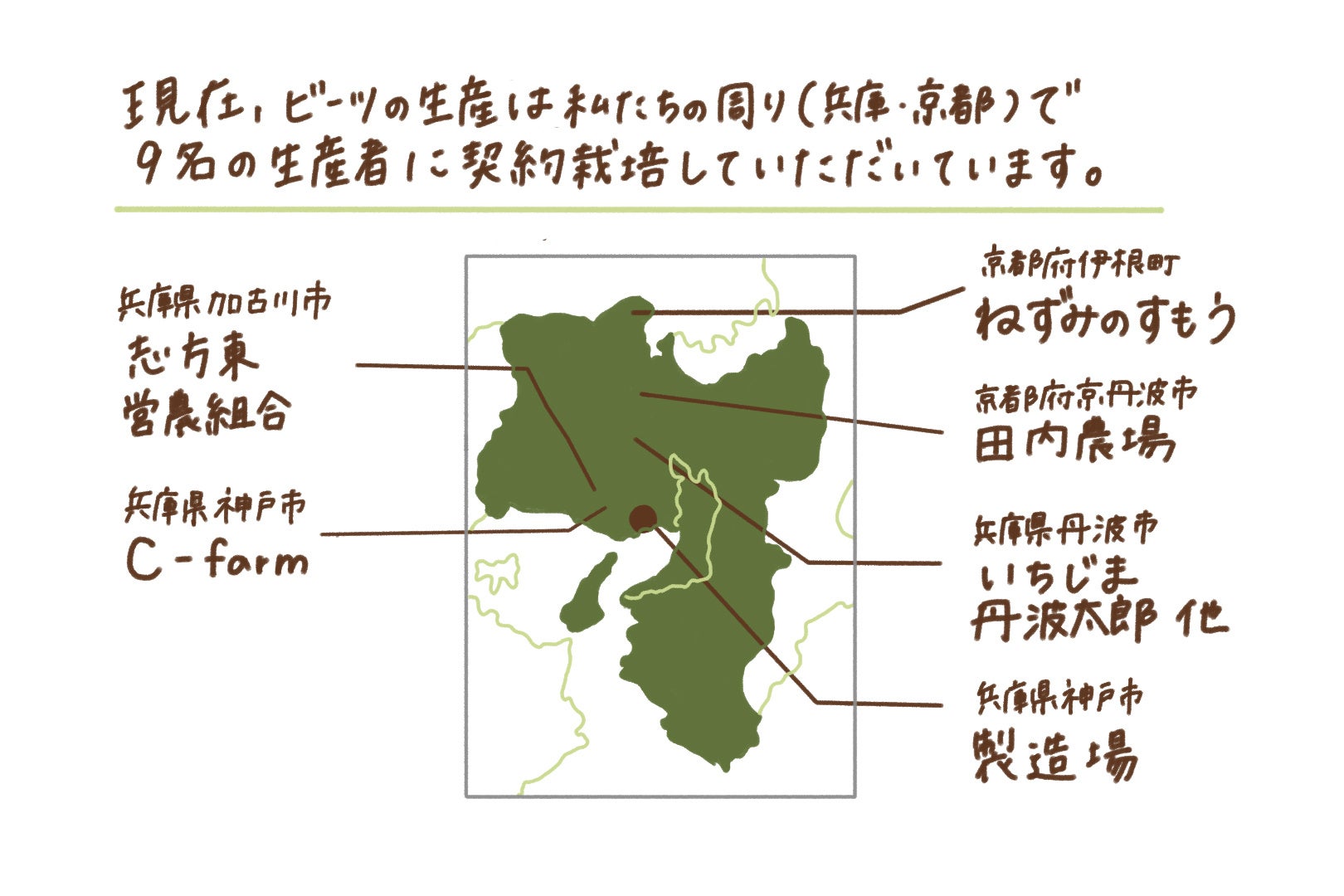 ビーツの生産地と生産者