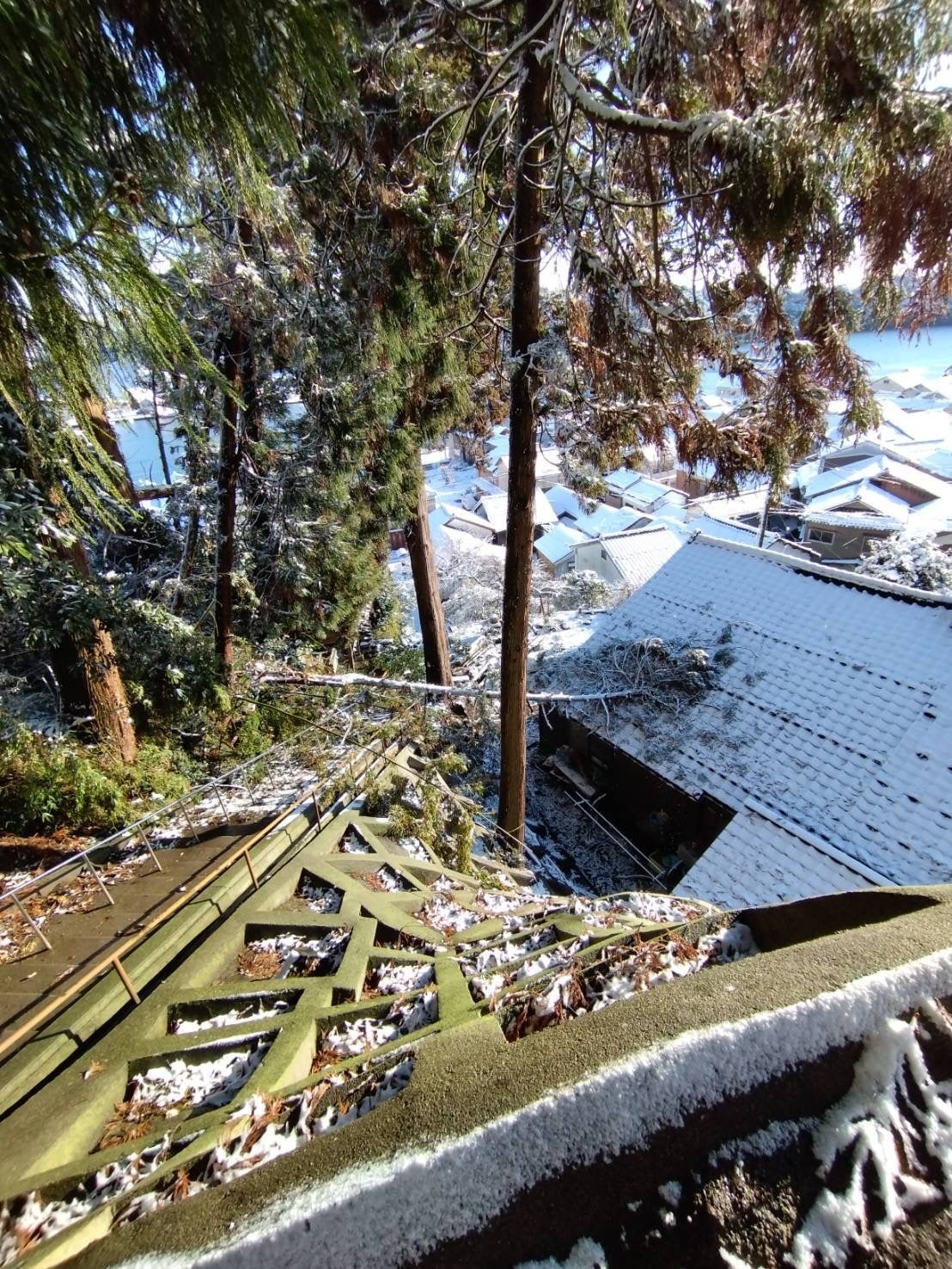震災後に社務所に倒木した御神木