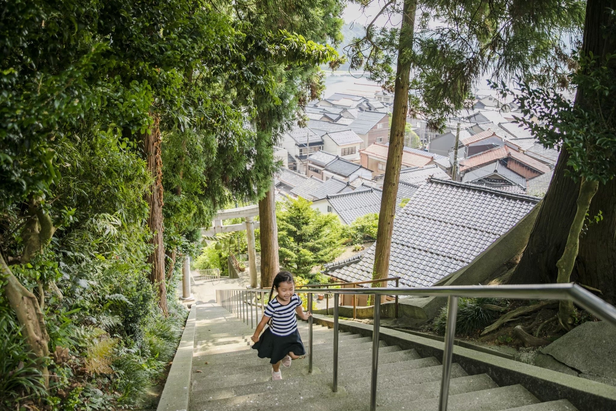 震災前の夏頃の参道
