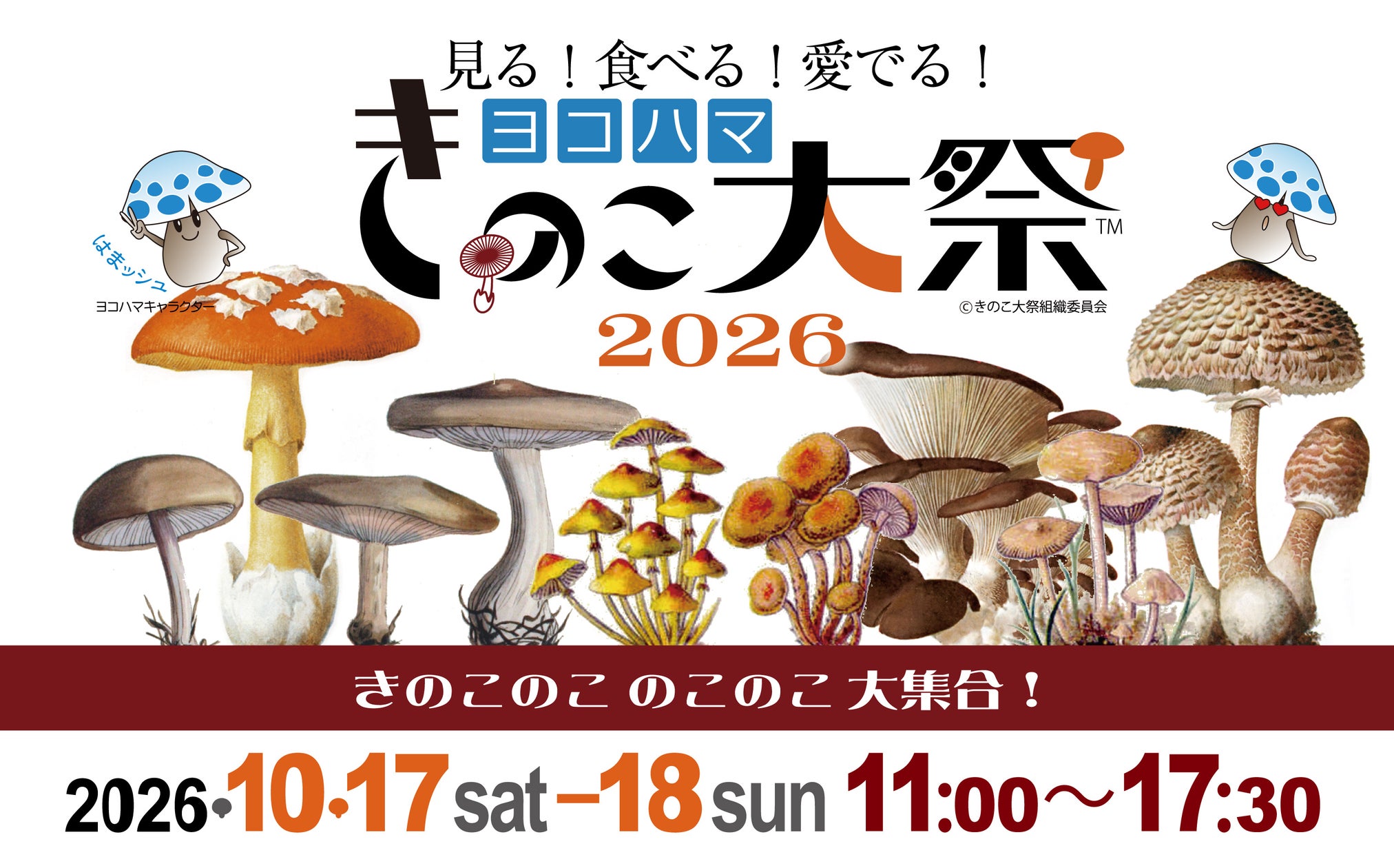 【浅草新仲見世に新名所誕生】昭和25年創業・老舗の極上餡で作る今川焼き「月のうさぎ」浅草店が2026年10月22日(木)グランドオープン!
