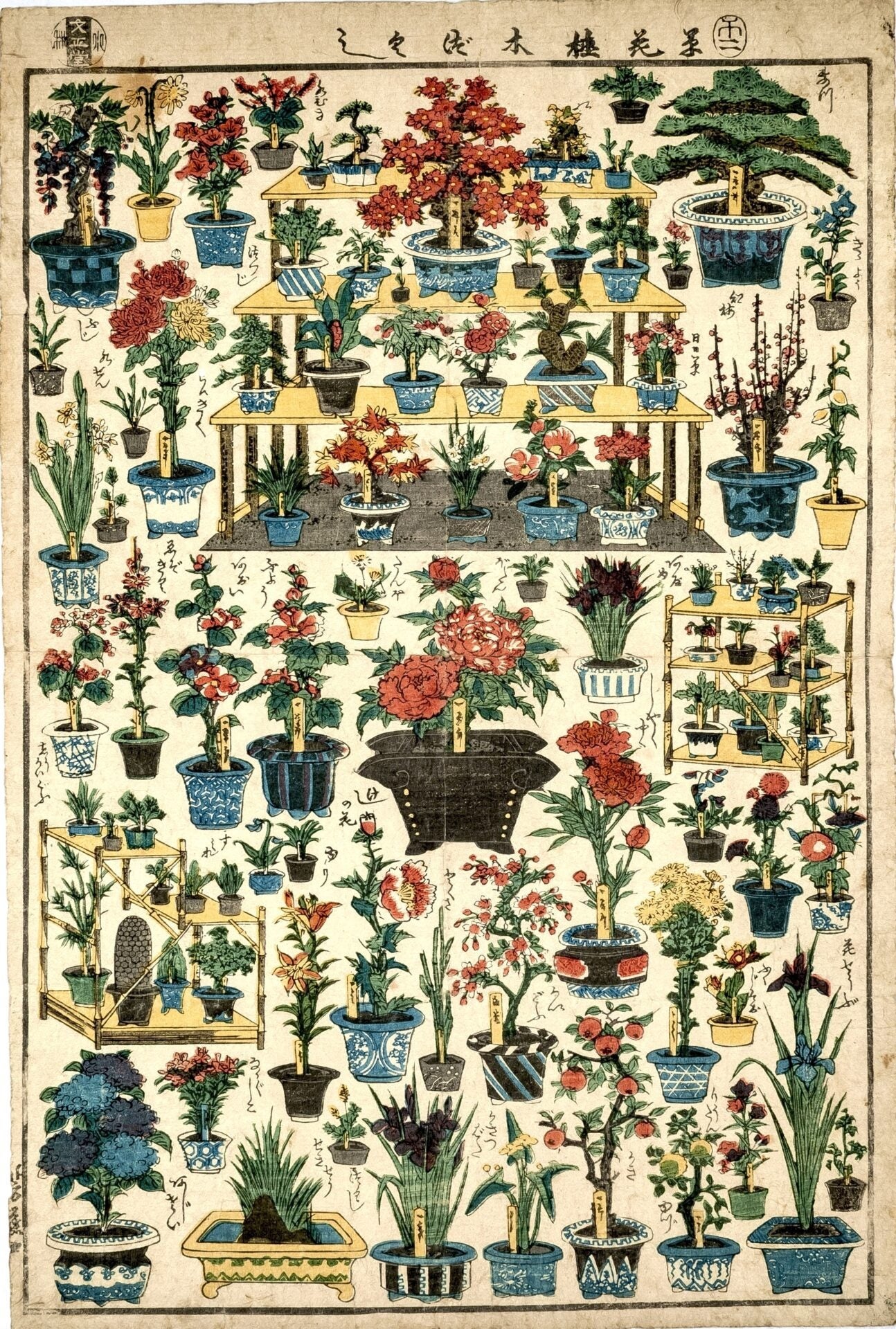 図版　歌川芳藤　「草花植木づくし」　安政５年（1858）２月　個人蔵（後期）