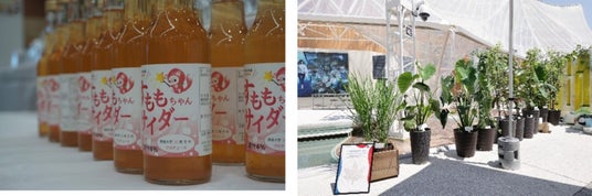 【摂南大学】「横浜フラワー&ガーデンフェスティバル2026」に出展 【摂南大学】「横浜フラワー&ガーデンフェスティバル2026」に出展