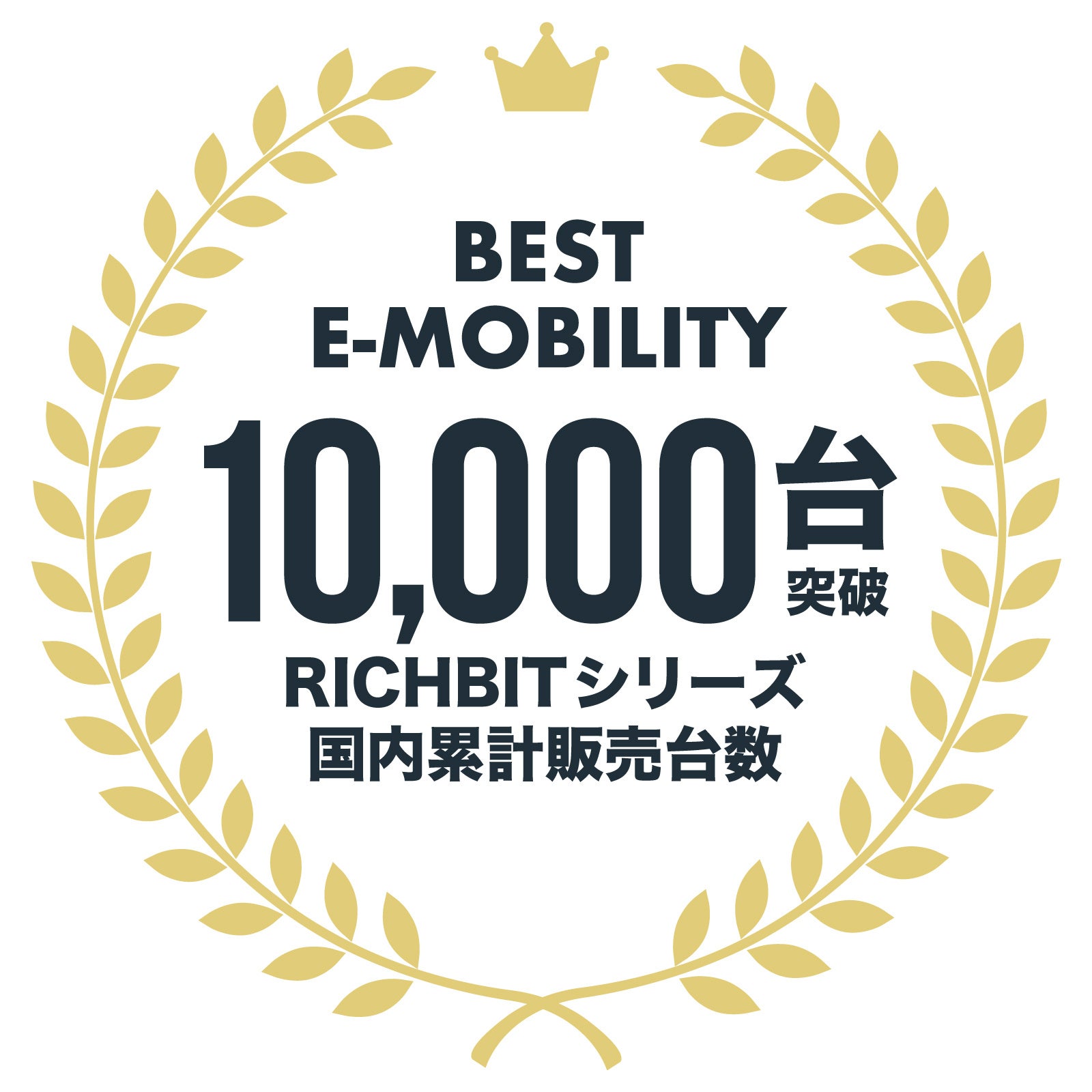 Ripwheat モペット緑色 ロック付き定価80000円 新型電動モビリティの特定小型原動機付自転車「RICHBIT CITY」 5