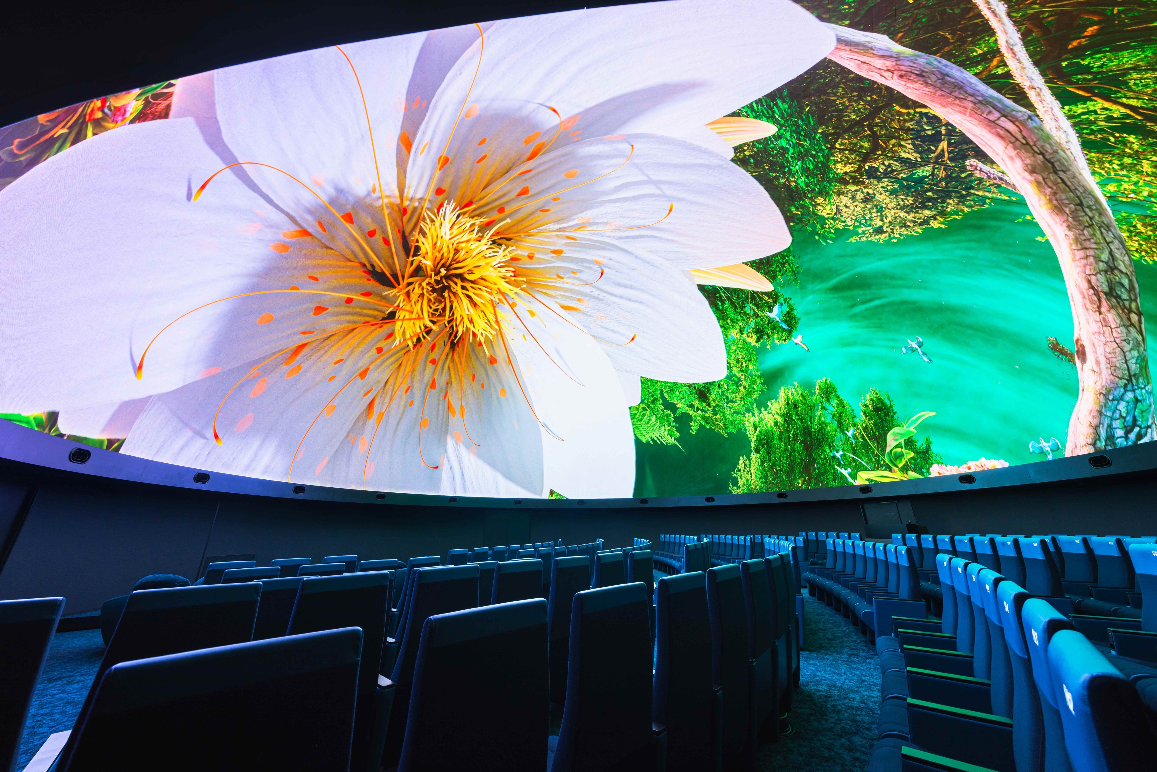 LEDドームで旅する、世界の星空『星の旅 -世界編- 特別ロング