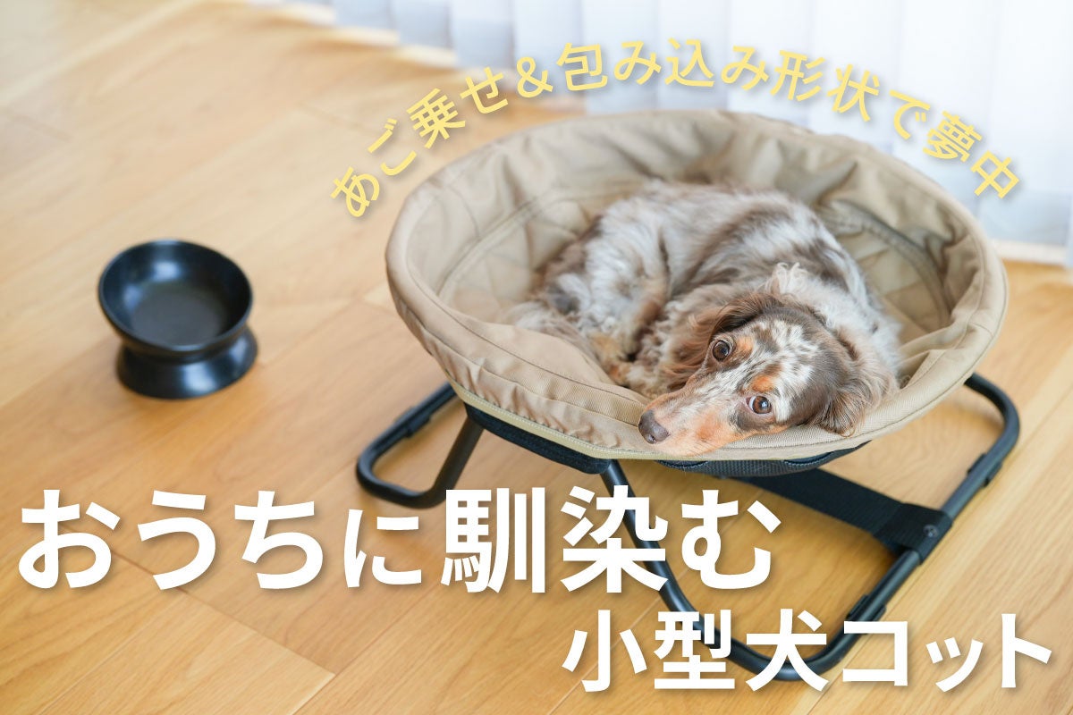 今年はMIYASHITA PARK（ミヤシタパーク）が会場に！都市型防災イベント「もしもFES渋谷2027」を開催