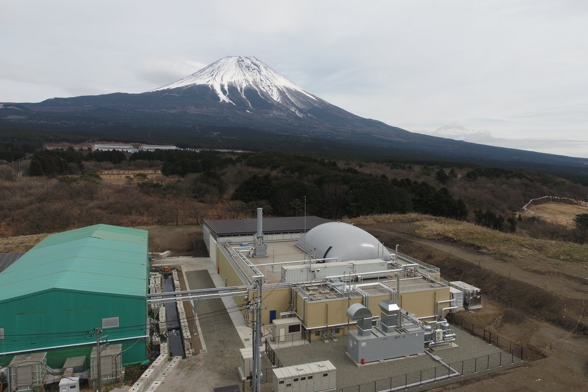 プラント全景
