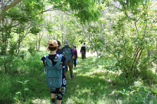 ウィメンズアイ環境アクション宣言を発表 ウィメンズアイ環境アクション宣言を発表