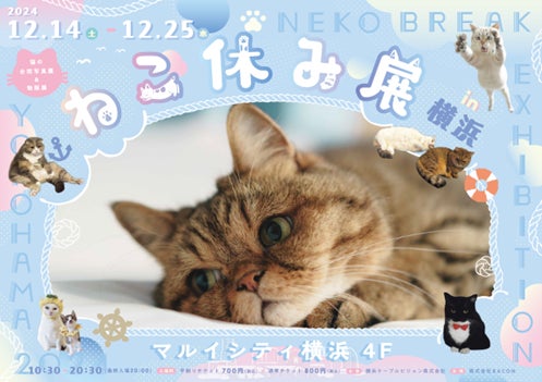 ねこ休み展 in 横浜』 12/14(土)~12/25(水)開催 | 横浜ケーブル ねこ休み展 in 横浜』 12/14(土)~12/25(水)開催 | 横浜ケーブル
