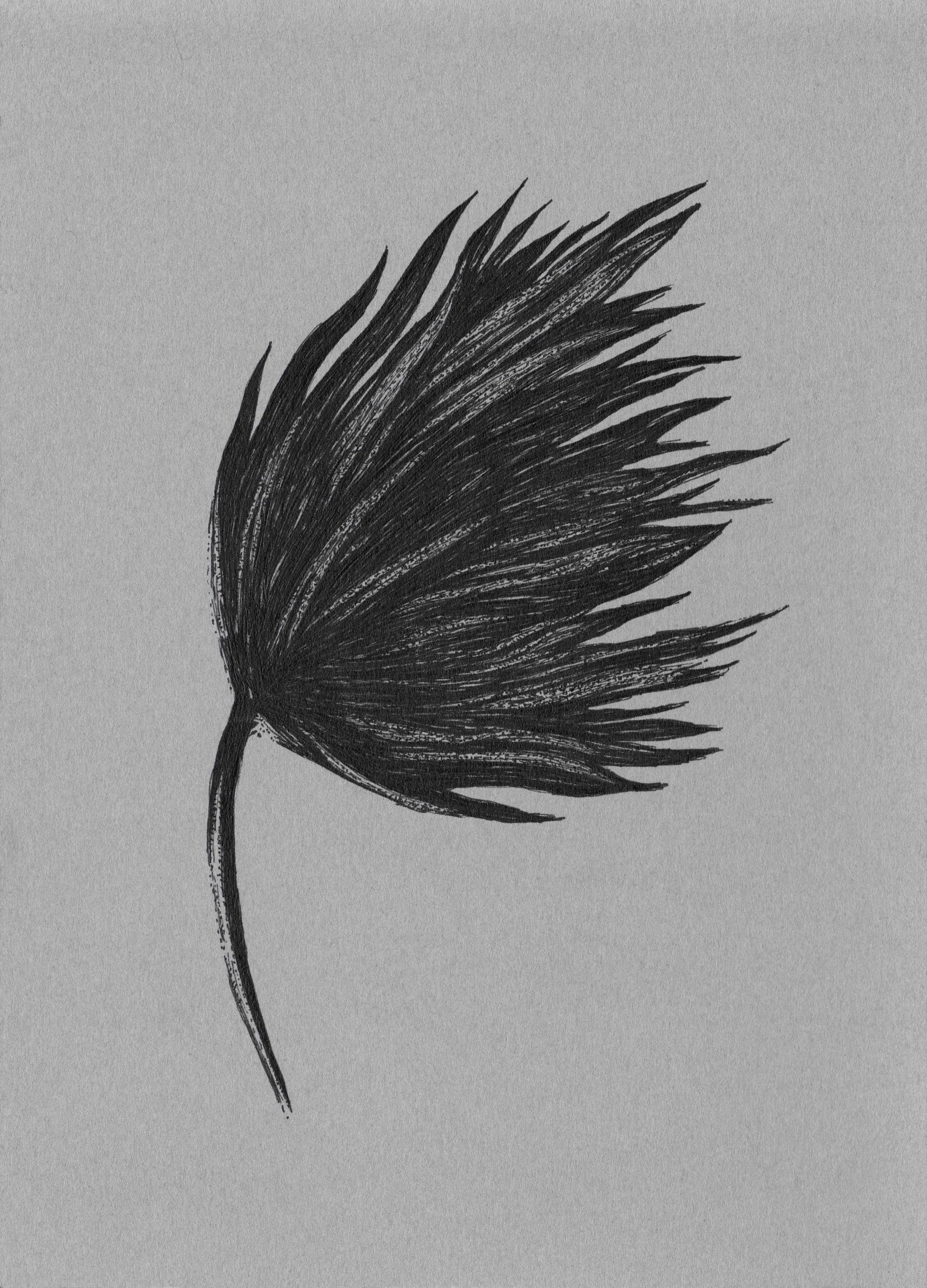 ヴィレ・アンデション「flower」