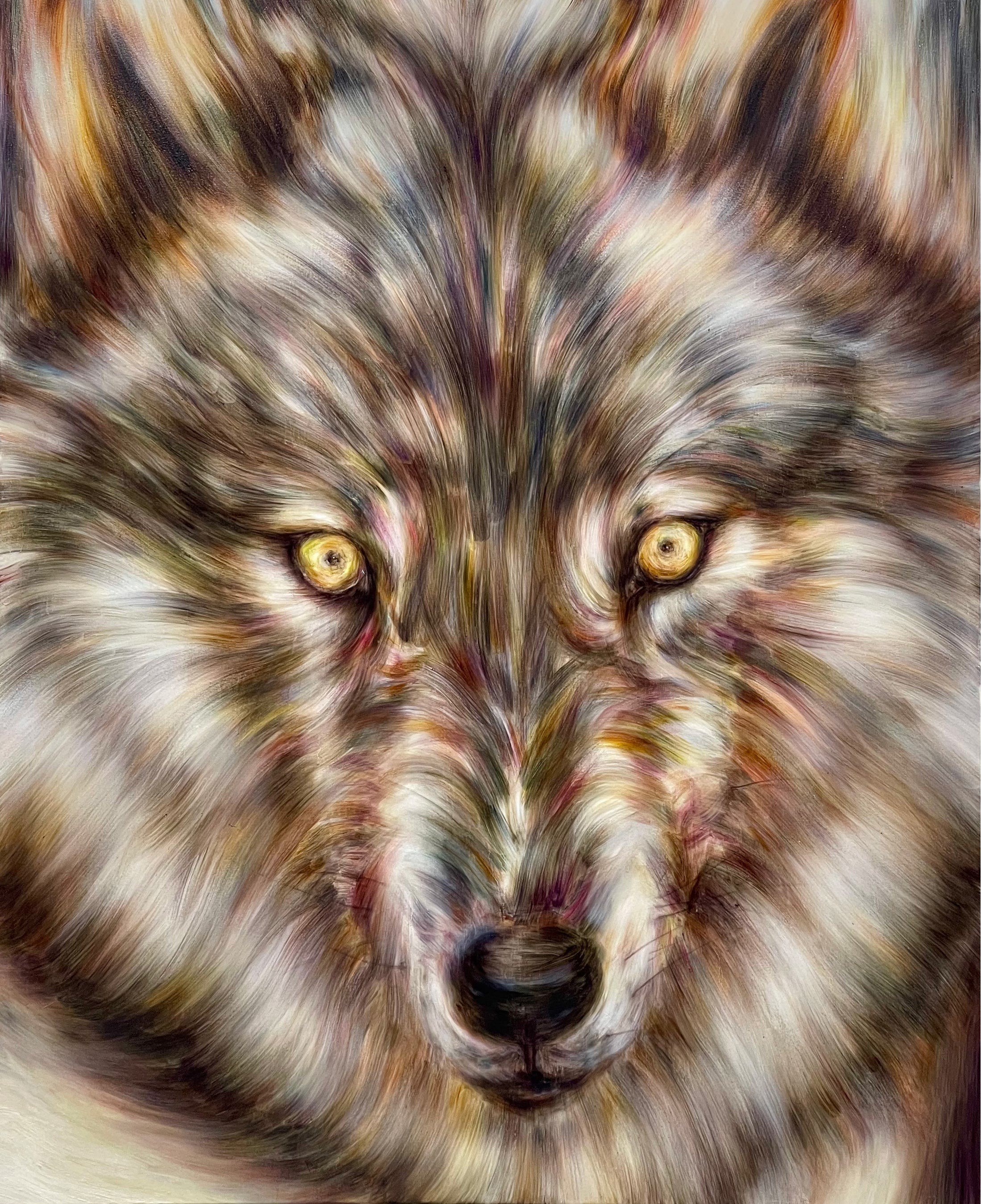 山脇紘資「Wolf」