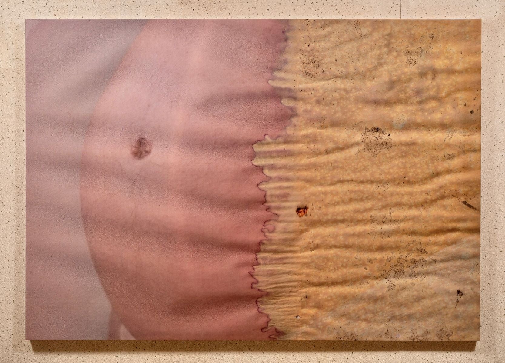 小野久留美「garbha-griha」