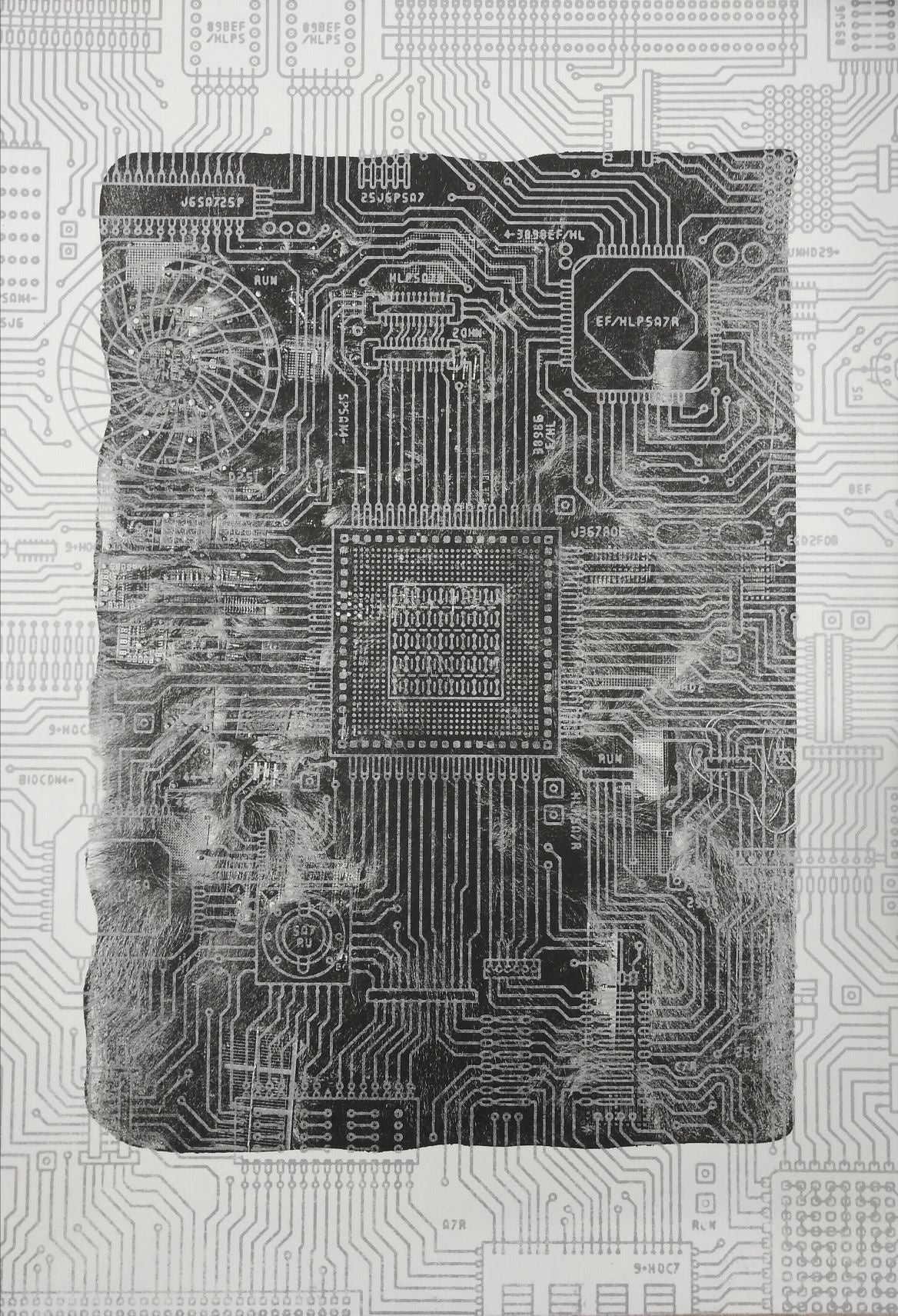 植田爽介「PCS」